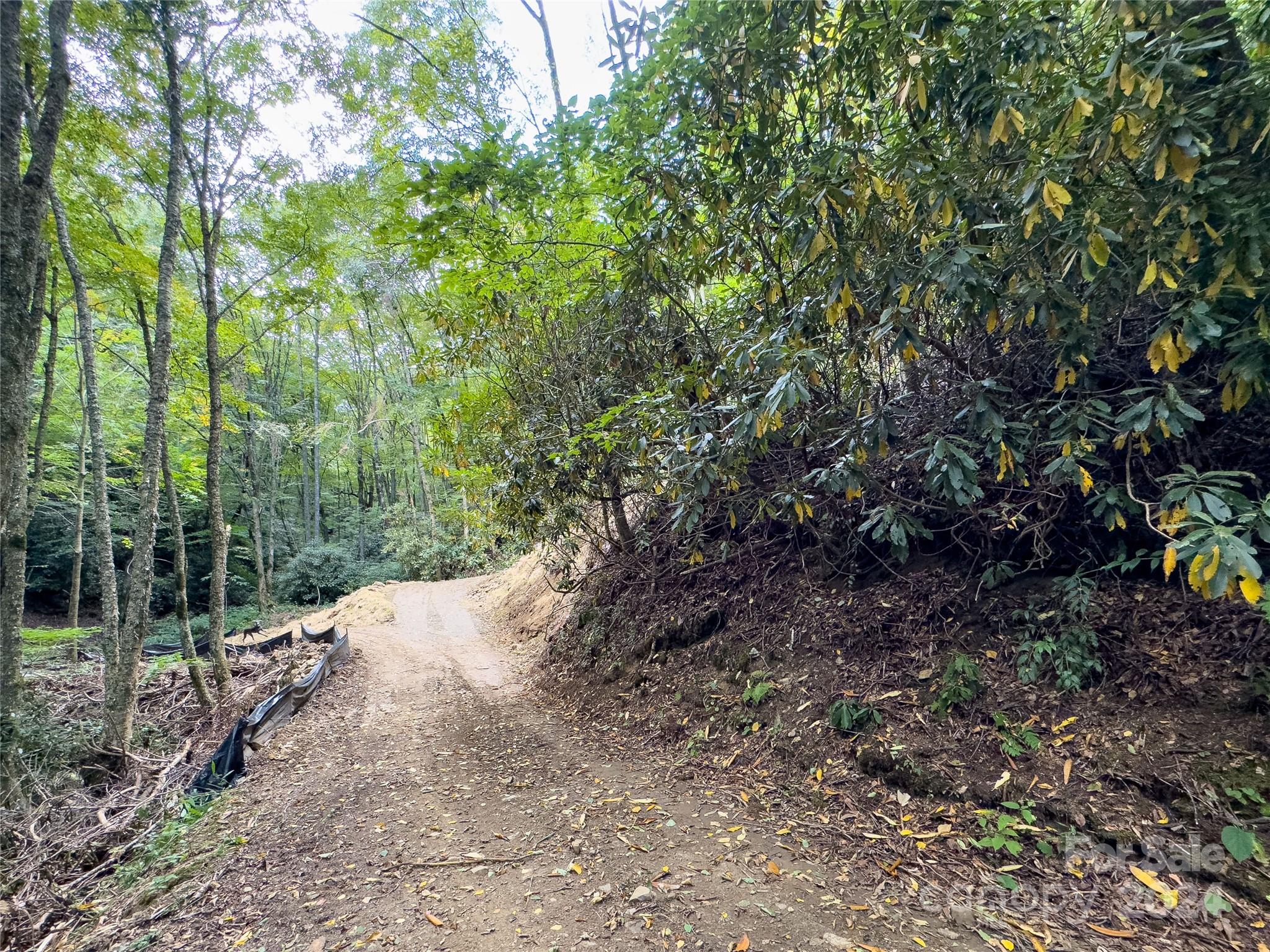 Black Rock Creek - Land