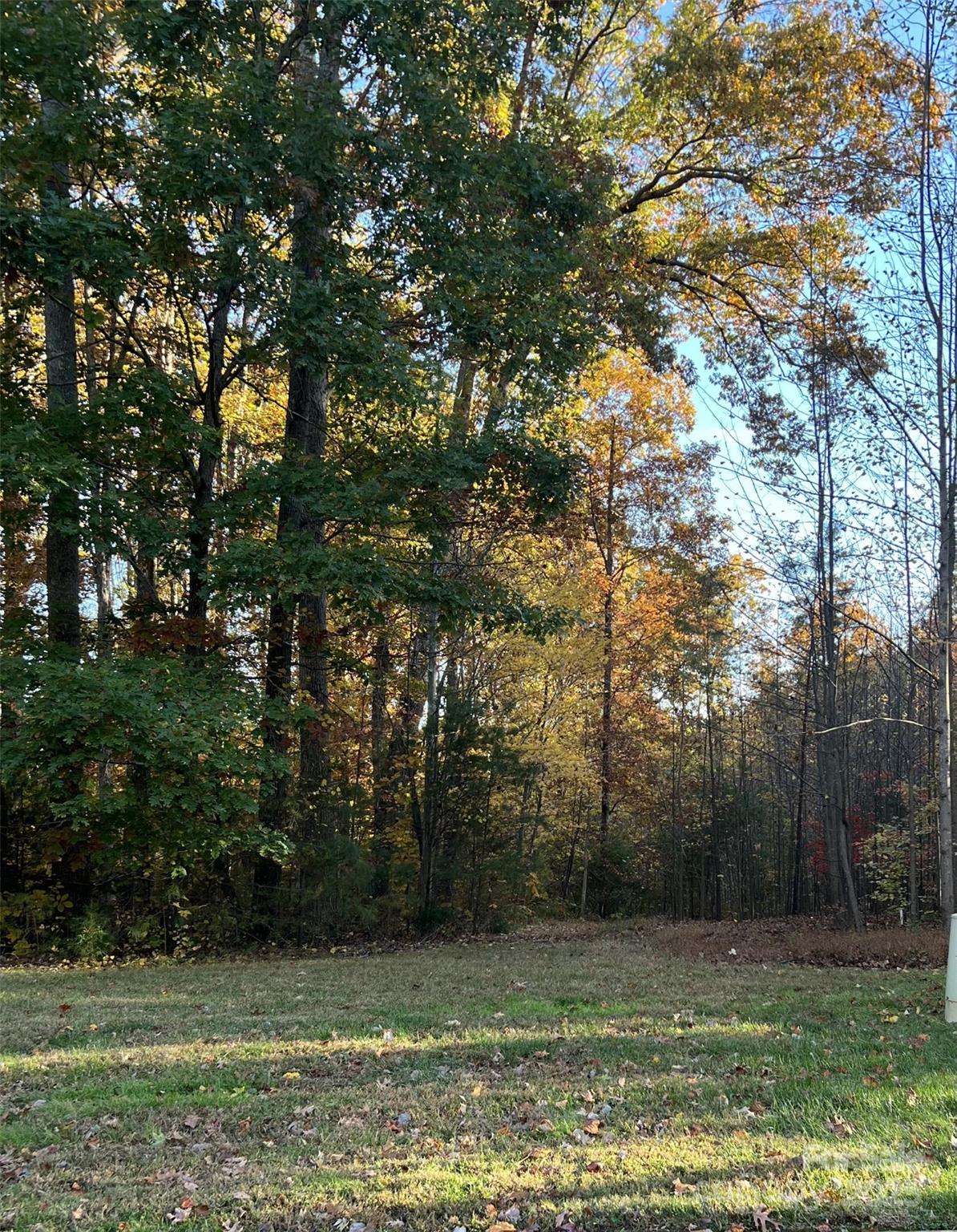 1038 Misty Creek Drive 38