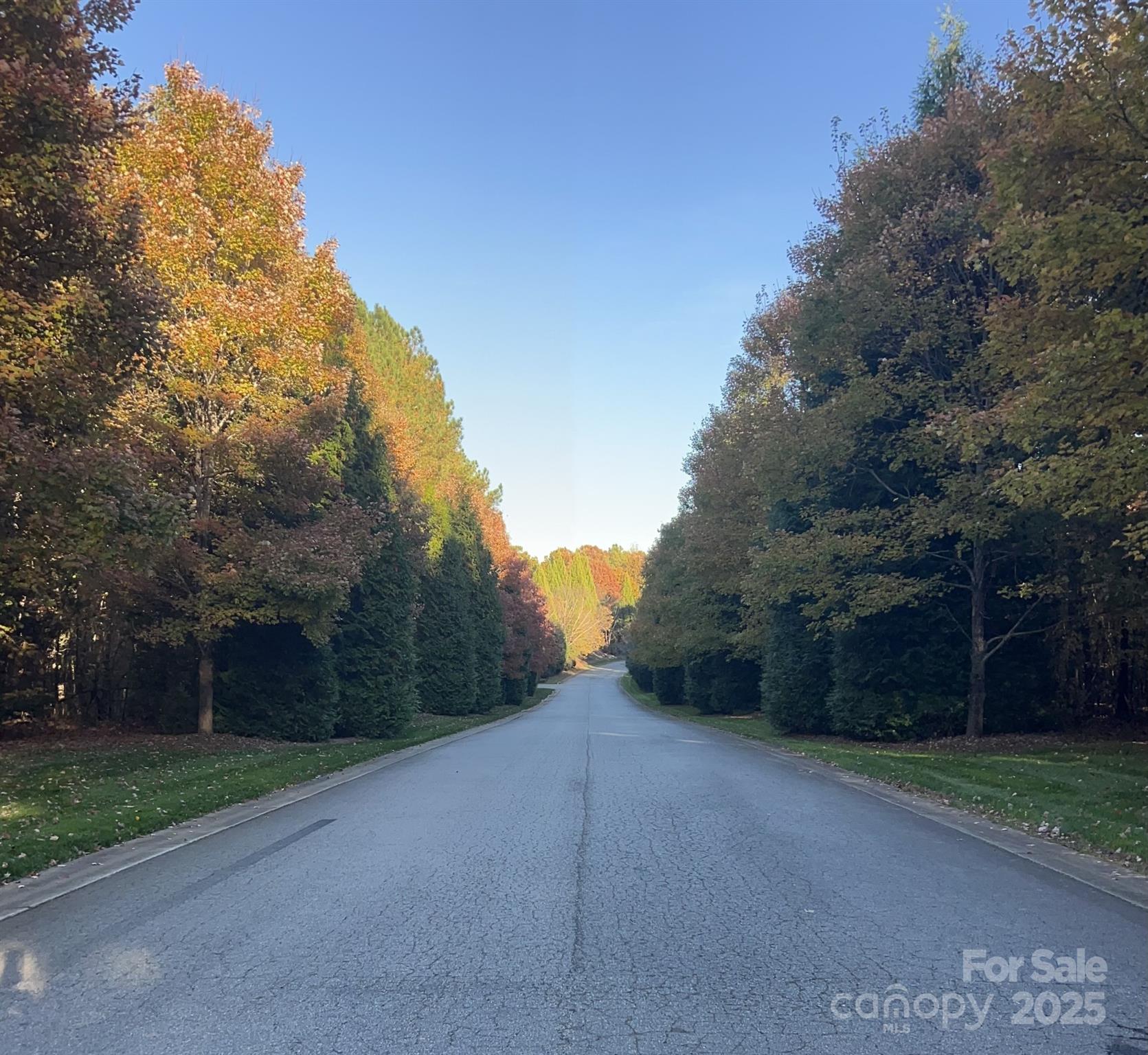 1038 Misty Creek Drive 38