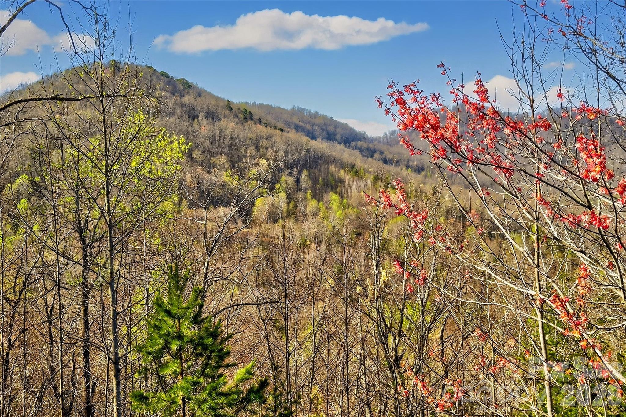 The Views At Woodland Hills - Residential