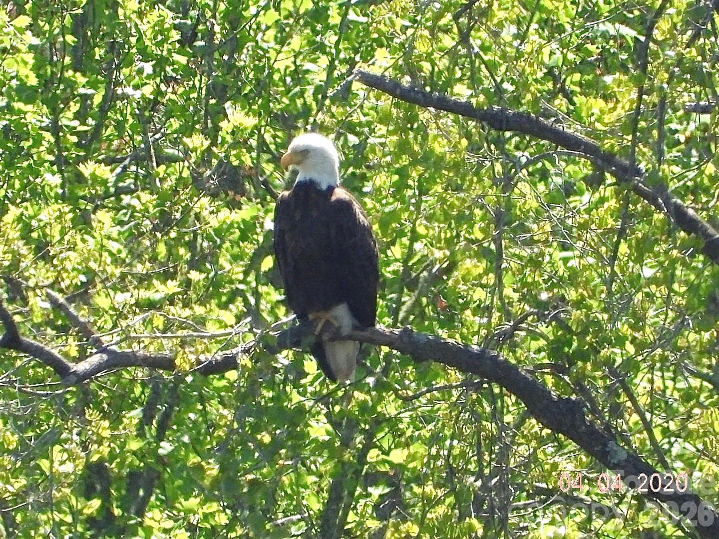 Wildwood - Residential