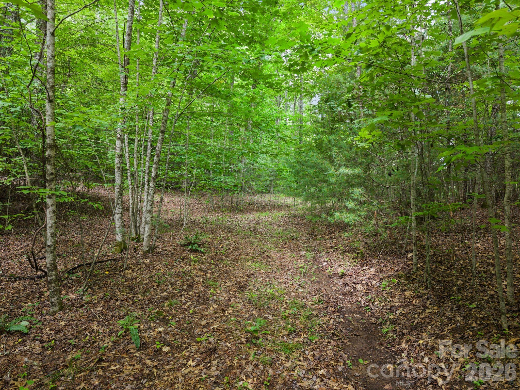 1408 Tellico Road