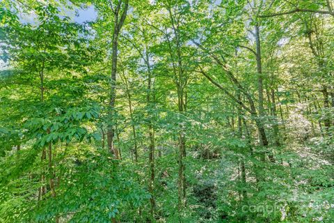 A home in Swannanoa