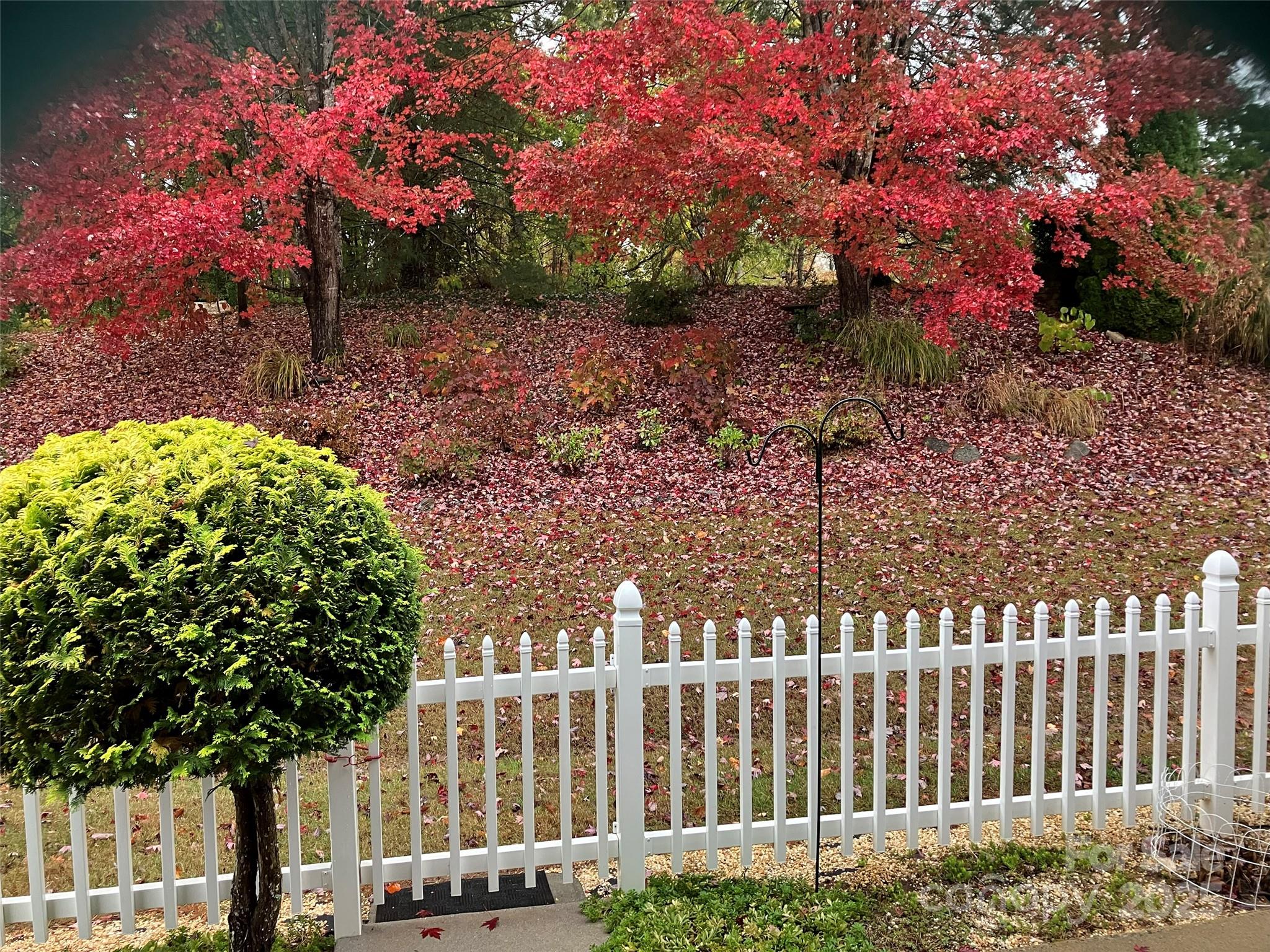 Royal Pines Village - Residential