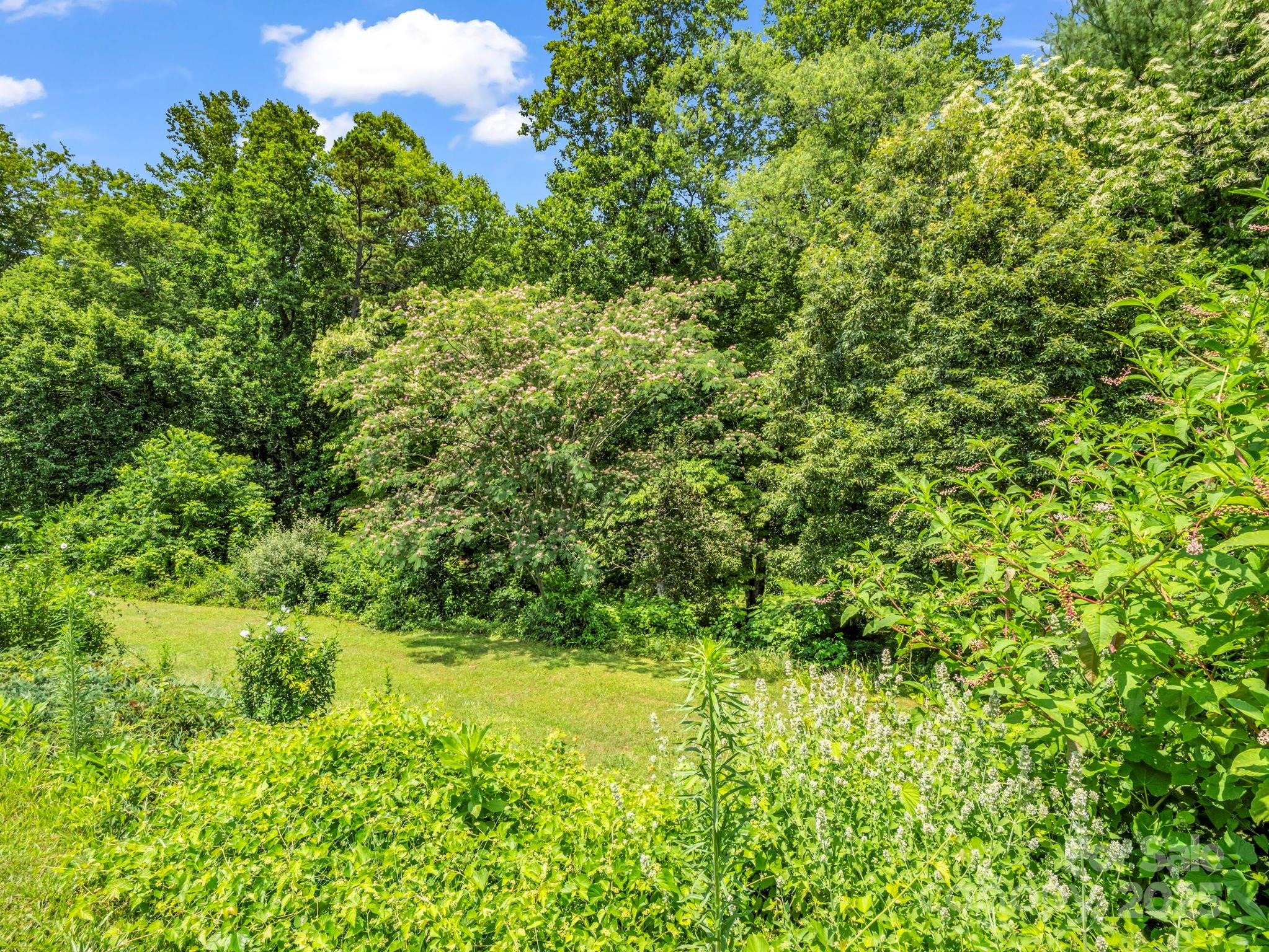 Monte Vista Park - Residential