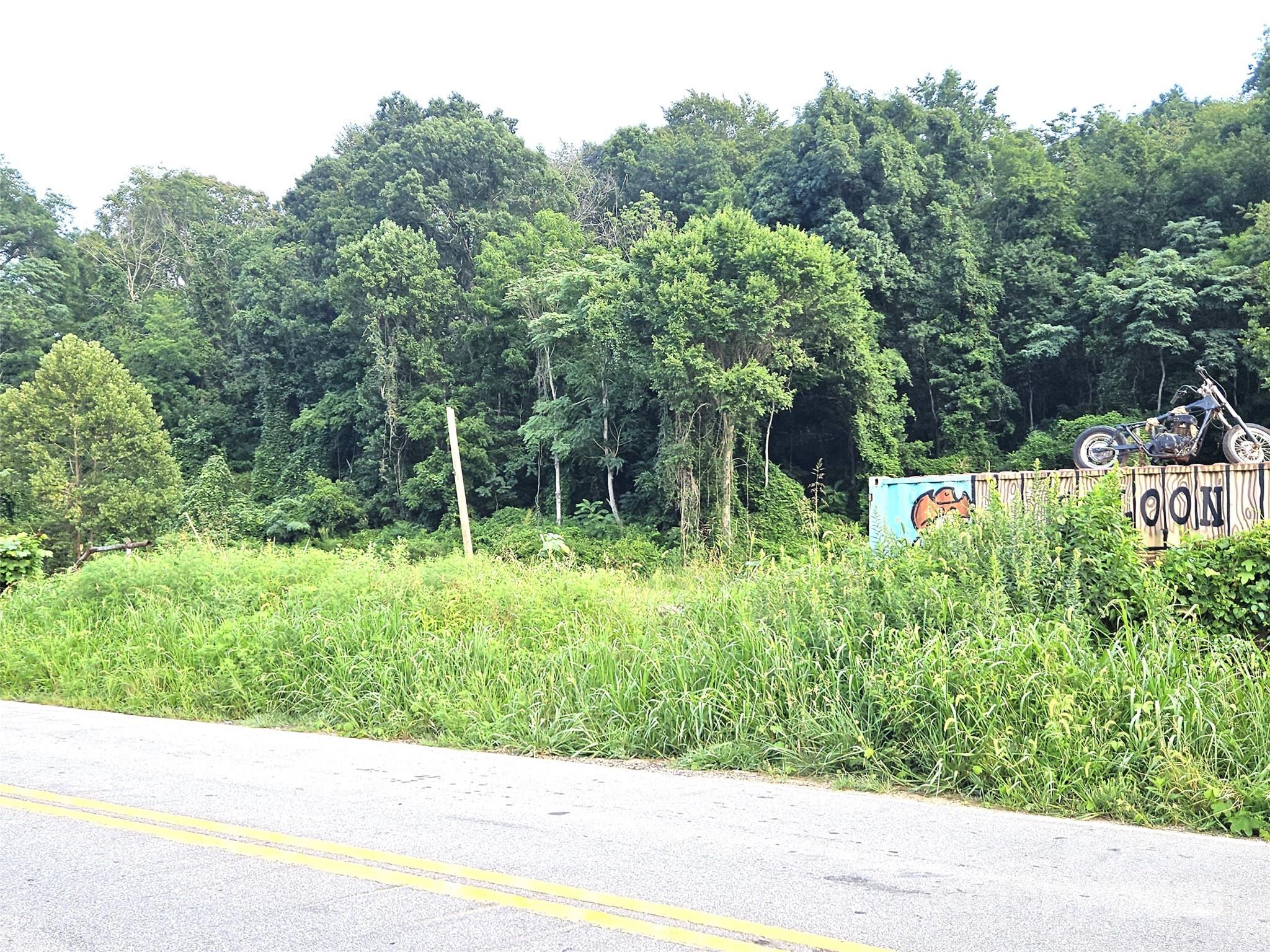 48 Swannanoa River Road