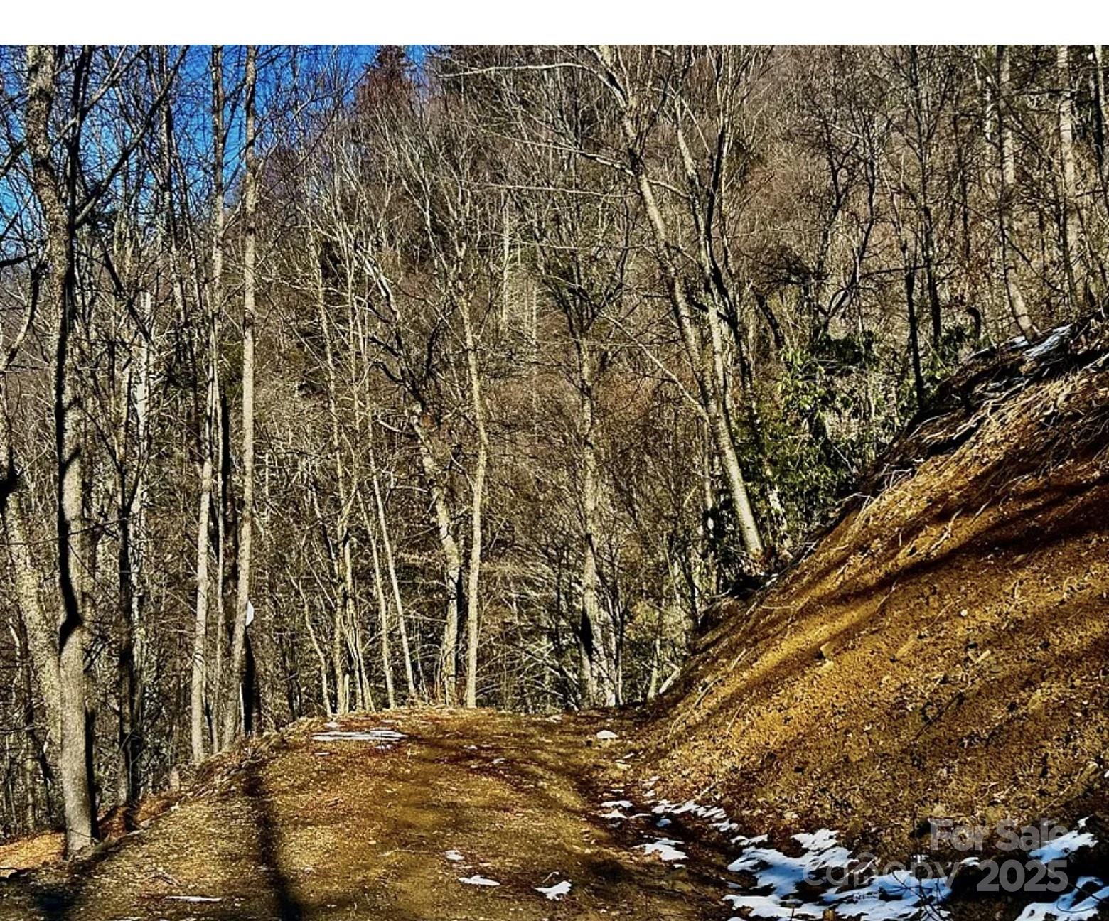 Hornbuckle Parkway Section - Land