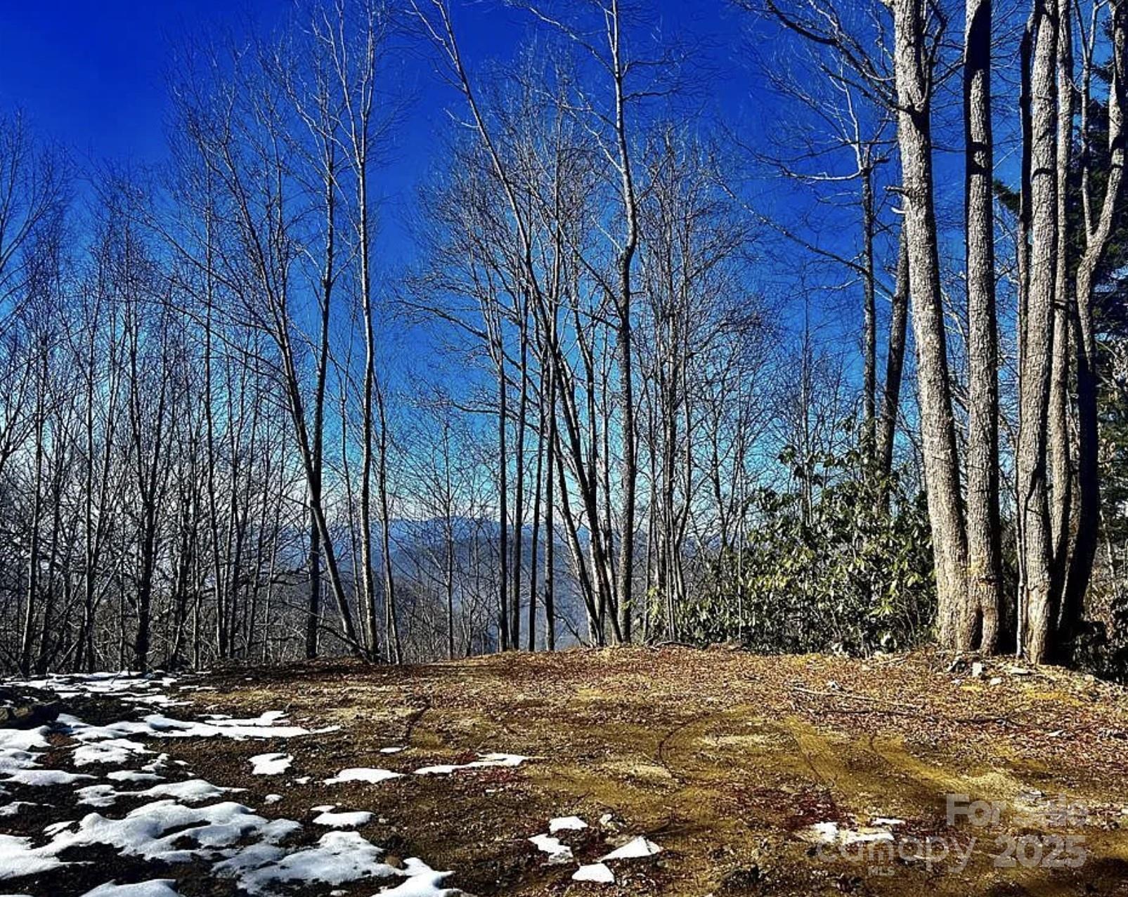 Hornbuckle Parkway Section - Land