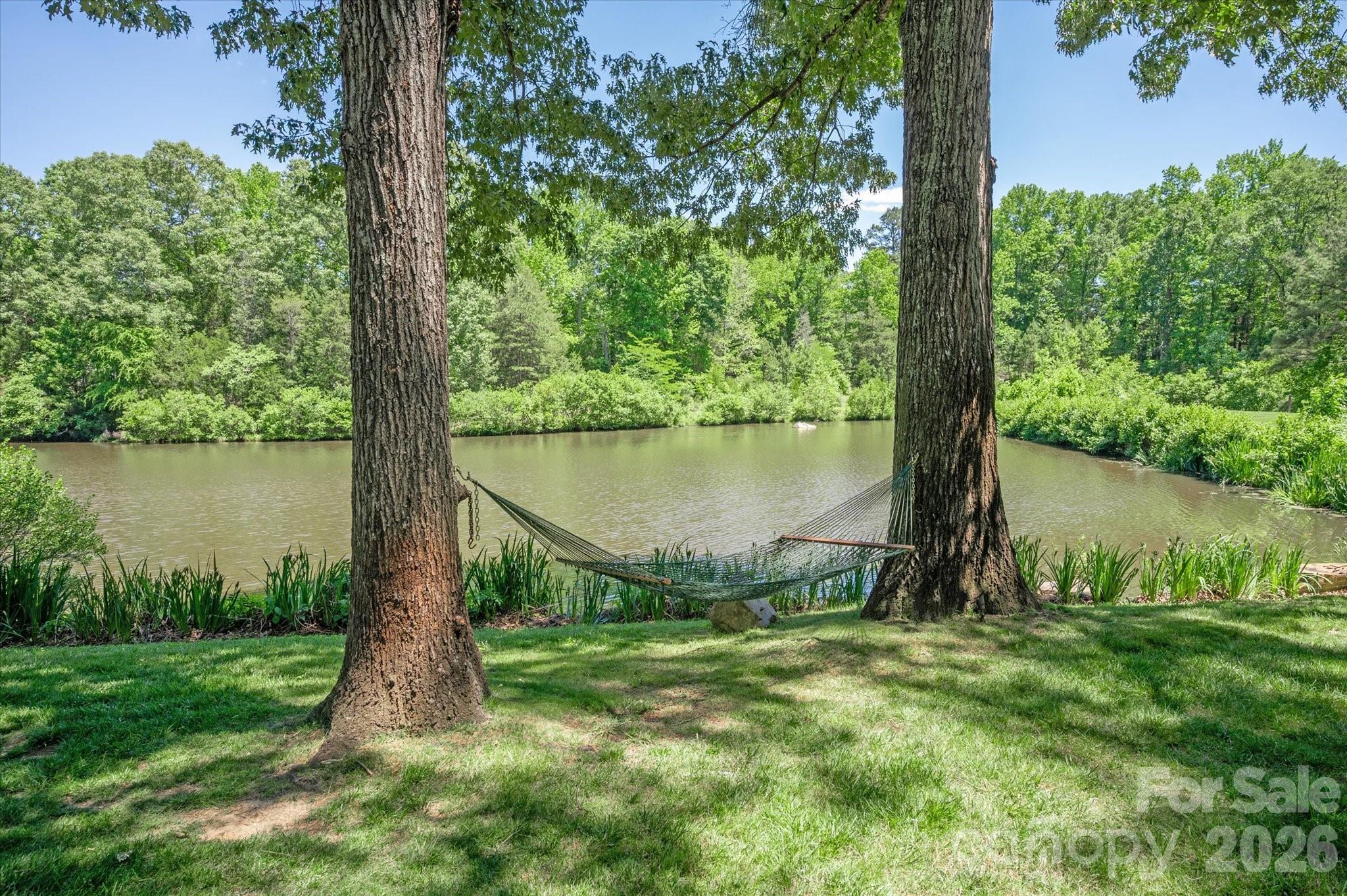 9117 Yellow Pine Court