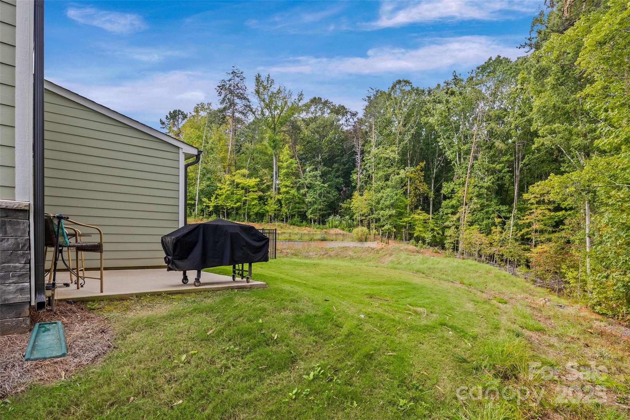 Colony at Handsmill - Residential