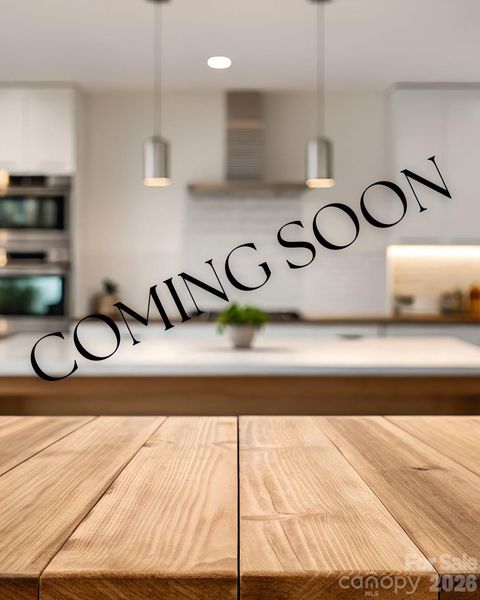 Photo of 1030 Princeton Drive, Indian Land, SC 29707 (MLS # 4374223)