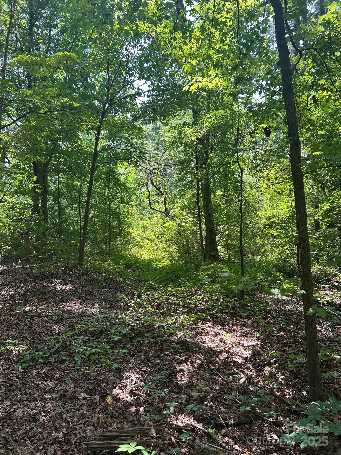 8710 Whitley Road