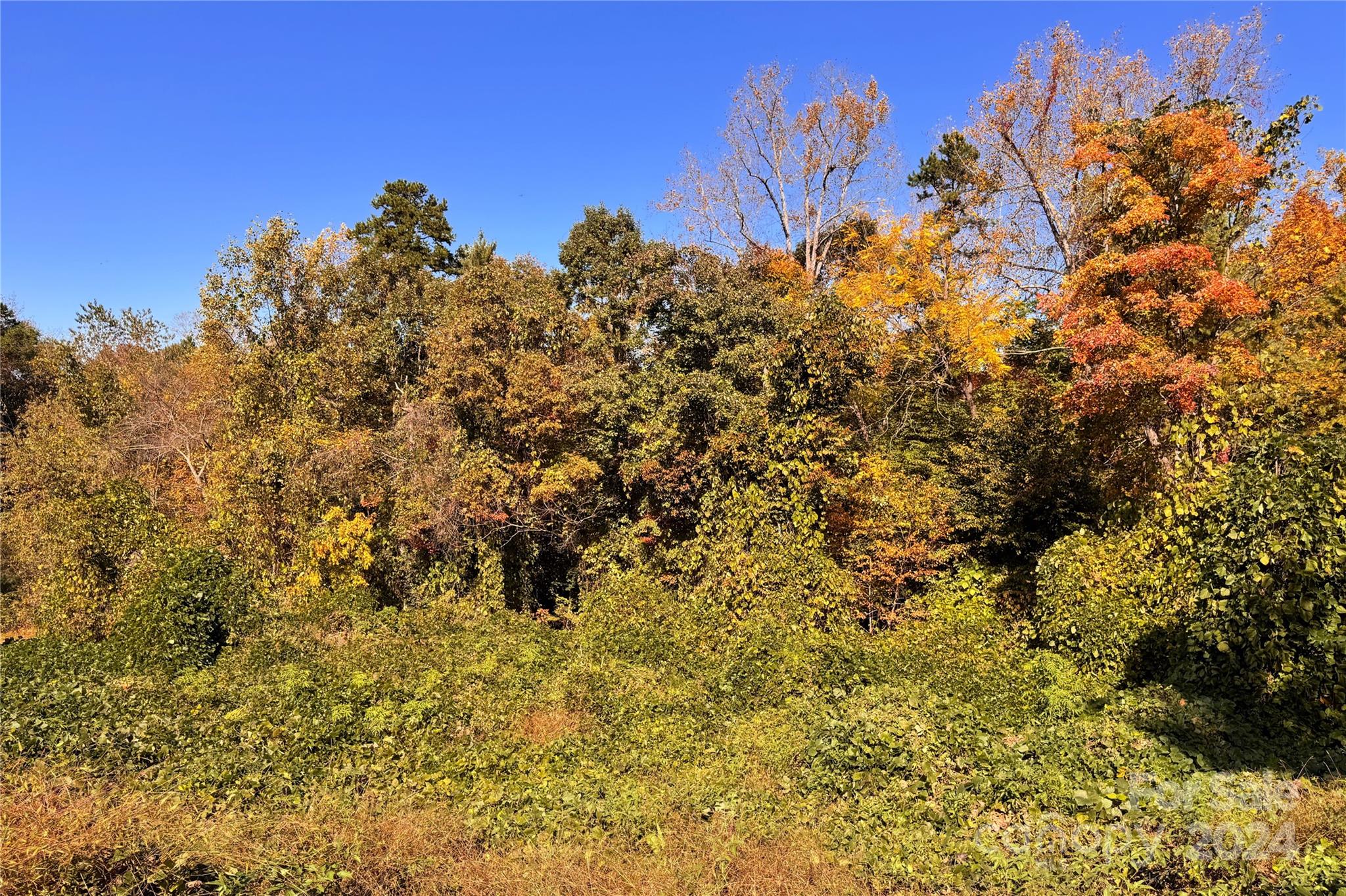 Gold Creek Estates - Land