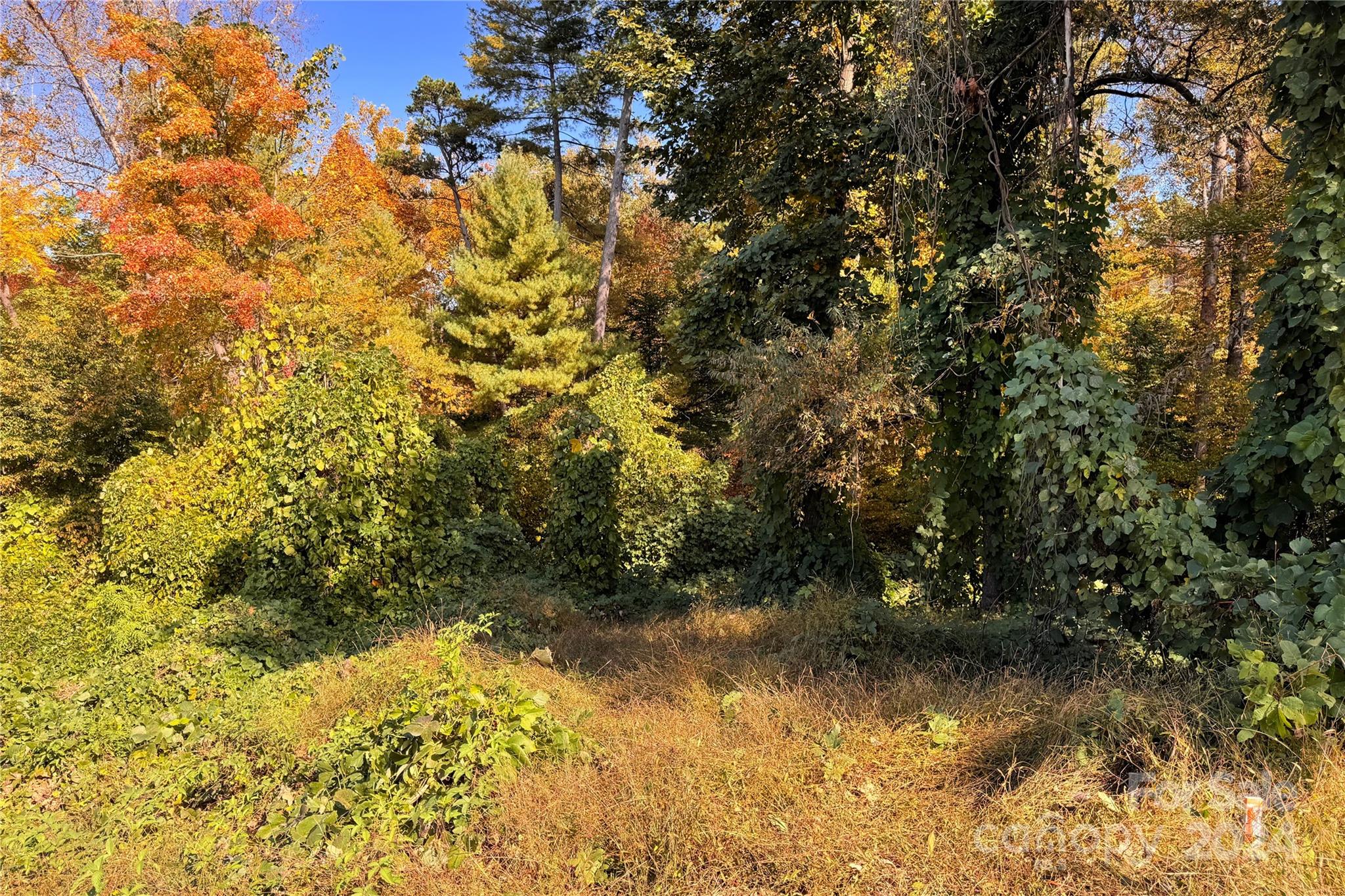 Gold Creek Estates - Land