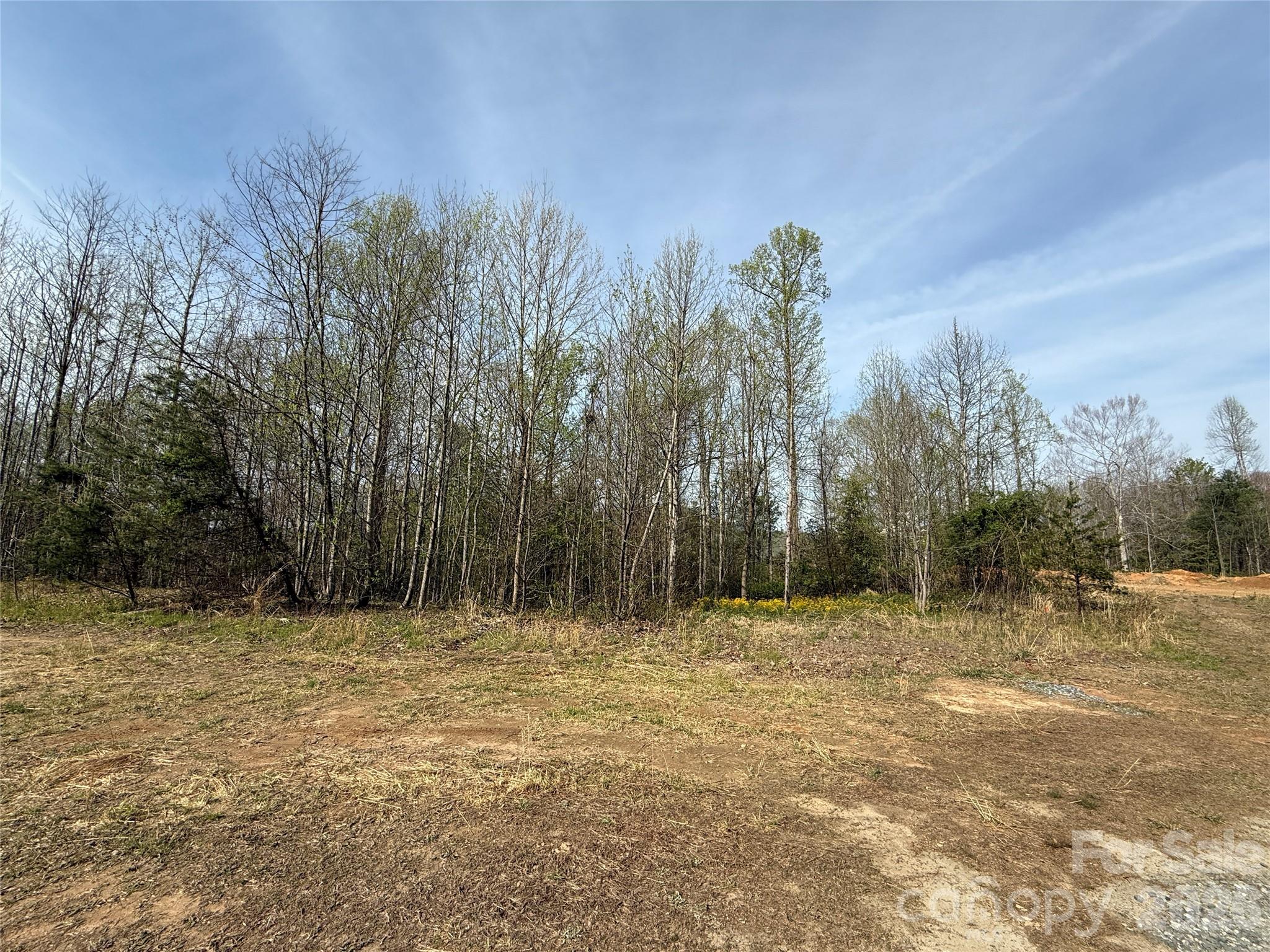 MASTERPIECE MEADOWS - Land