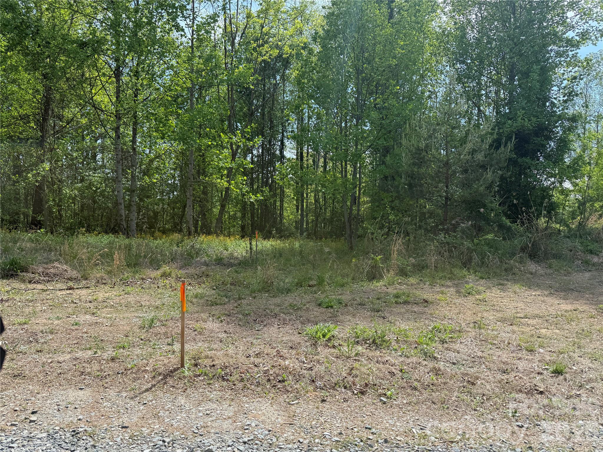 MASTERPIECE MEADOWS - Land