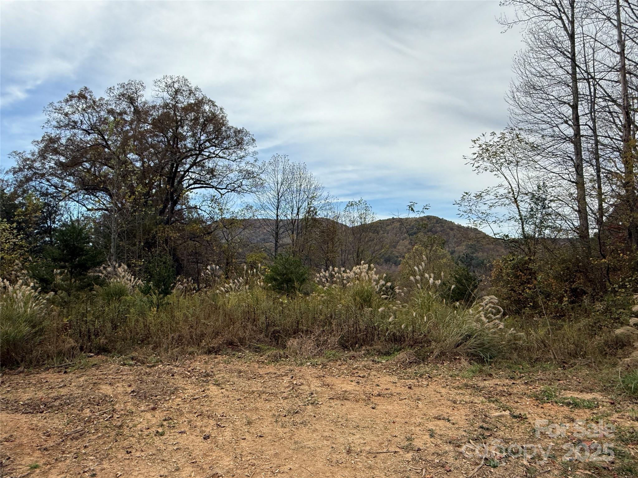 Lot # 2 Masterpiece Meadows Drive 2