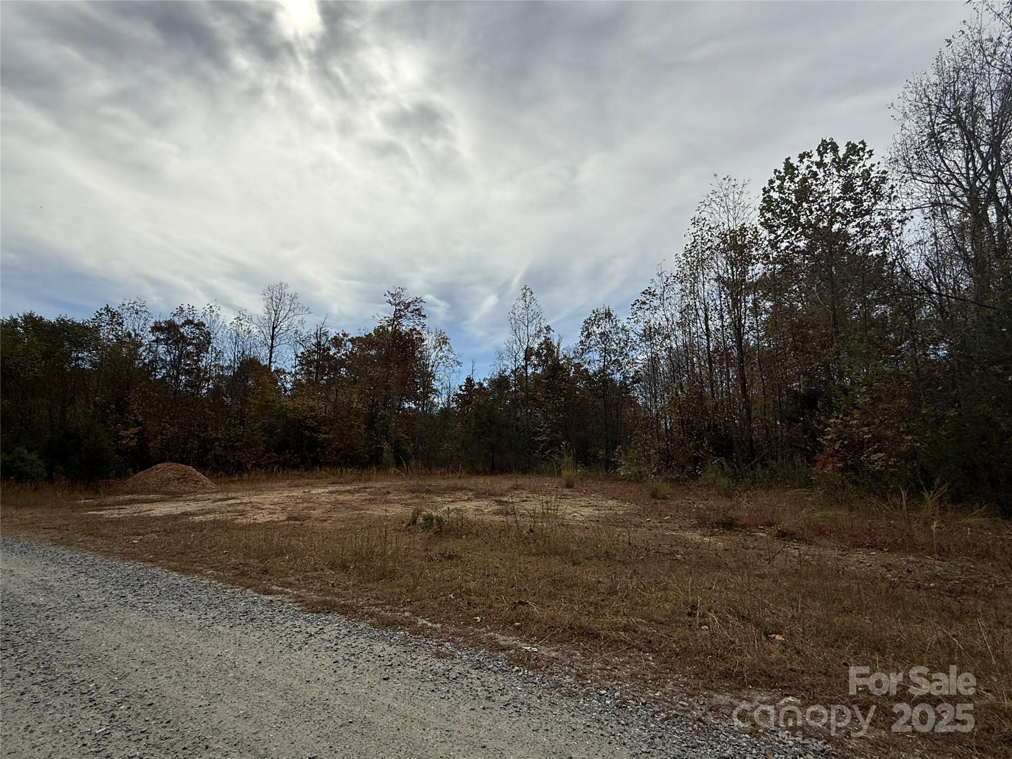 Lot # 2 Masterpiece Meadows Drive 2