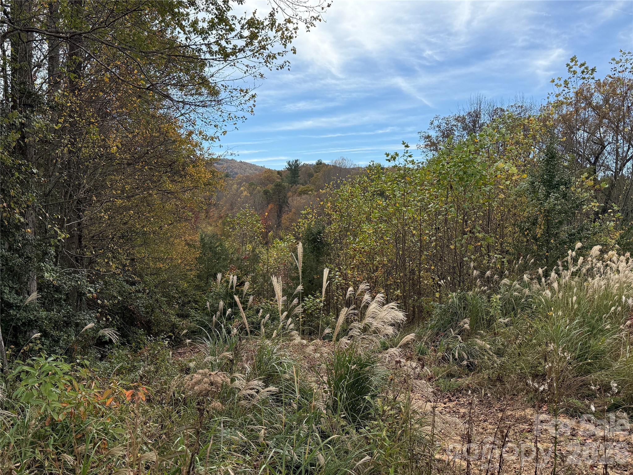 MASTERPIECE MEADOWS - Land