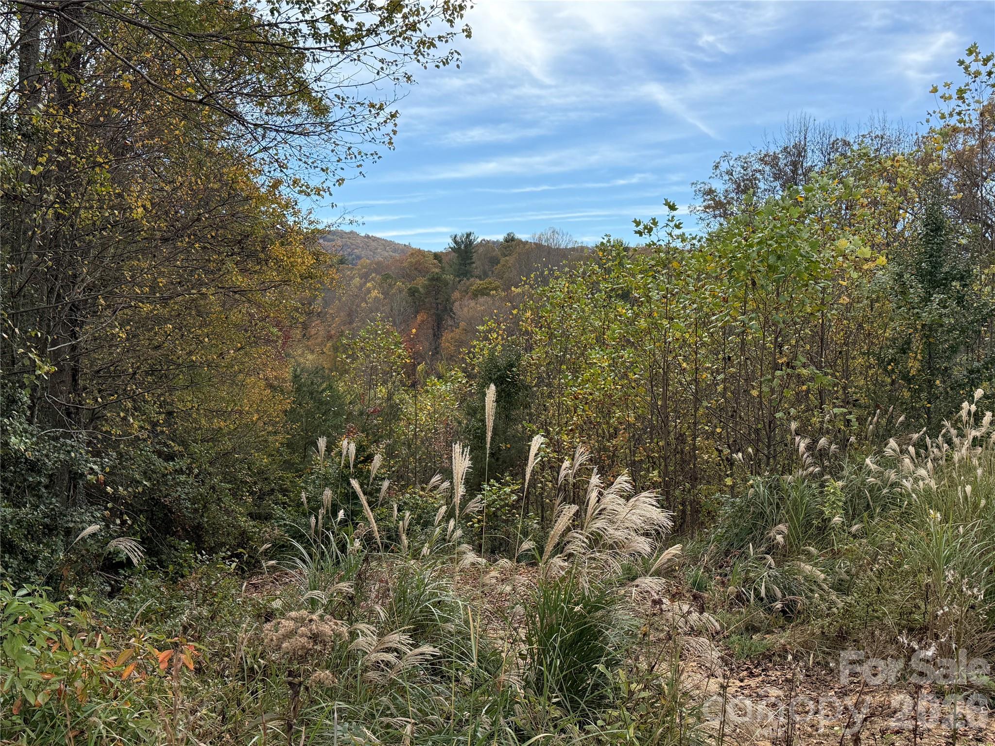 MASTERPIECE MEADOWS - Land