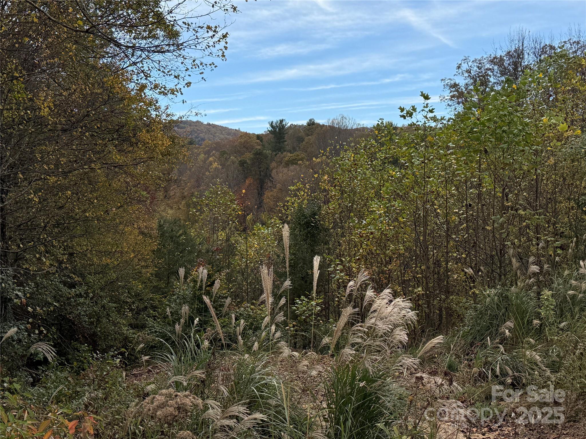 Lot # 2 Masterpiece Meadows Drive 2