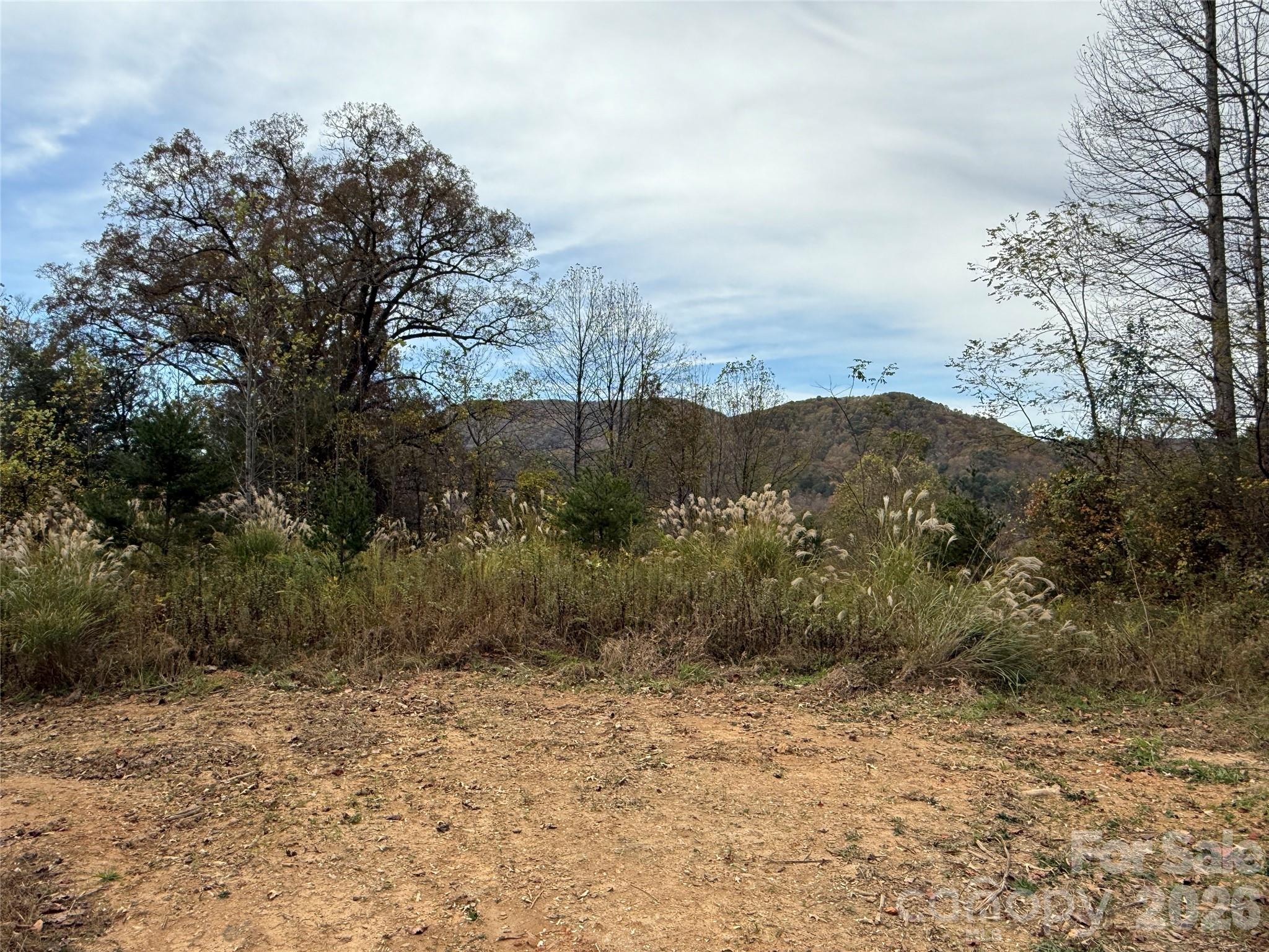 MASTERPIECE MEADOWS - Land