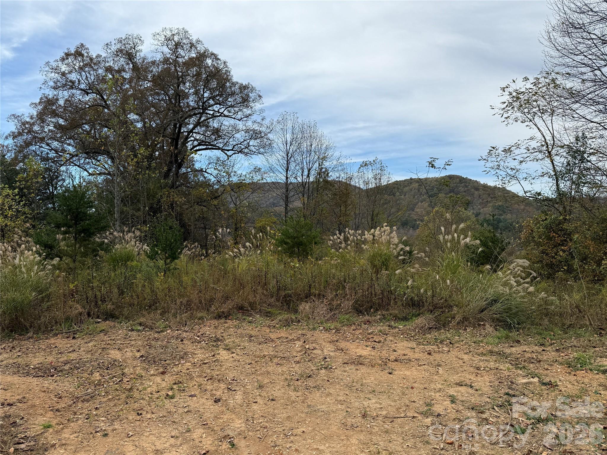 MASTERPIECE MEADOWS - Land