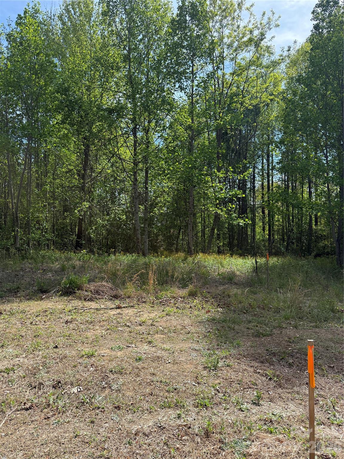 MASTERPIECE MEADOWS - Land