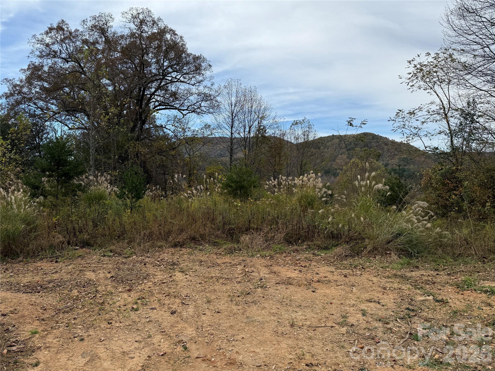 MASTERPIECE MEADOWS - Land