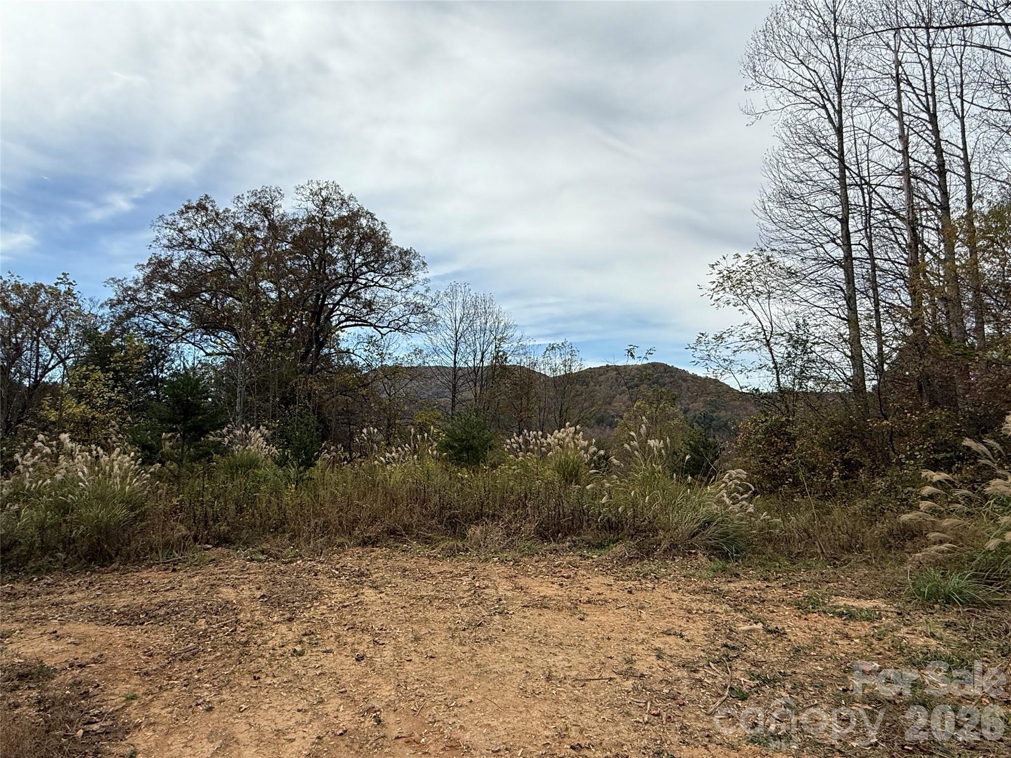 MASTERPIECE MEADOWS - Land