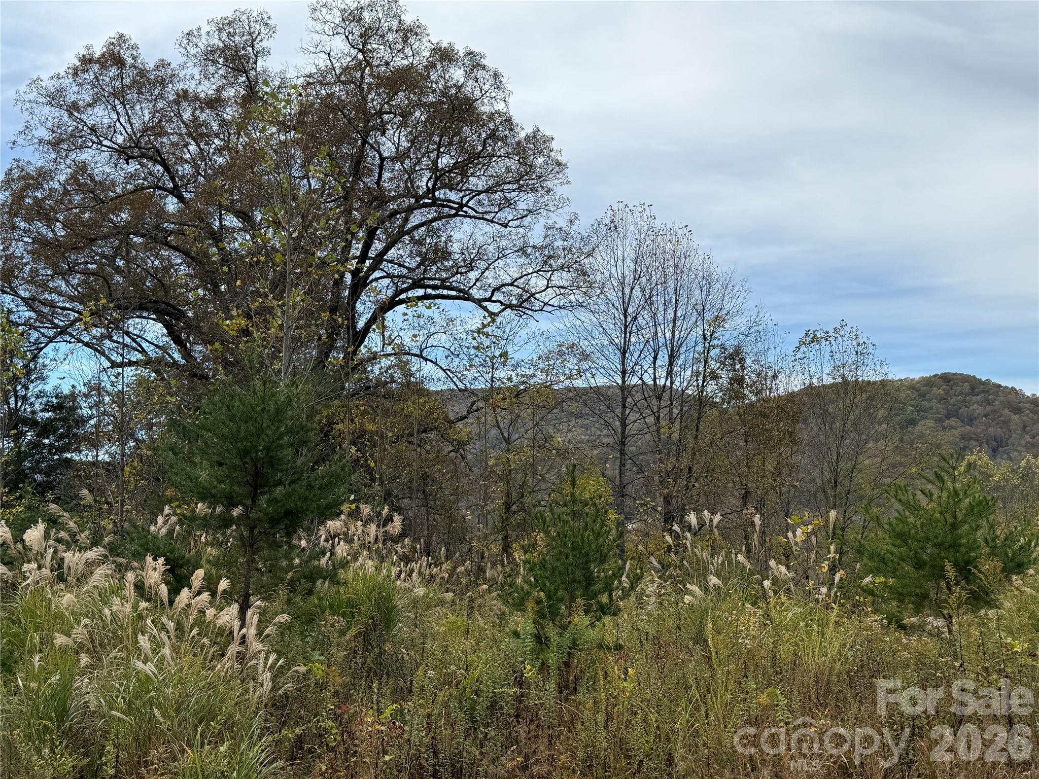 MASTERPIECE MEADOWS - Land