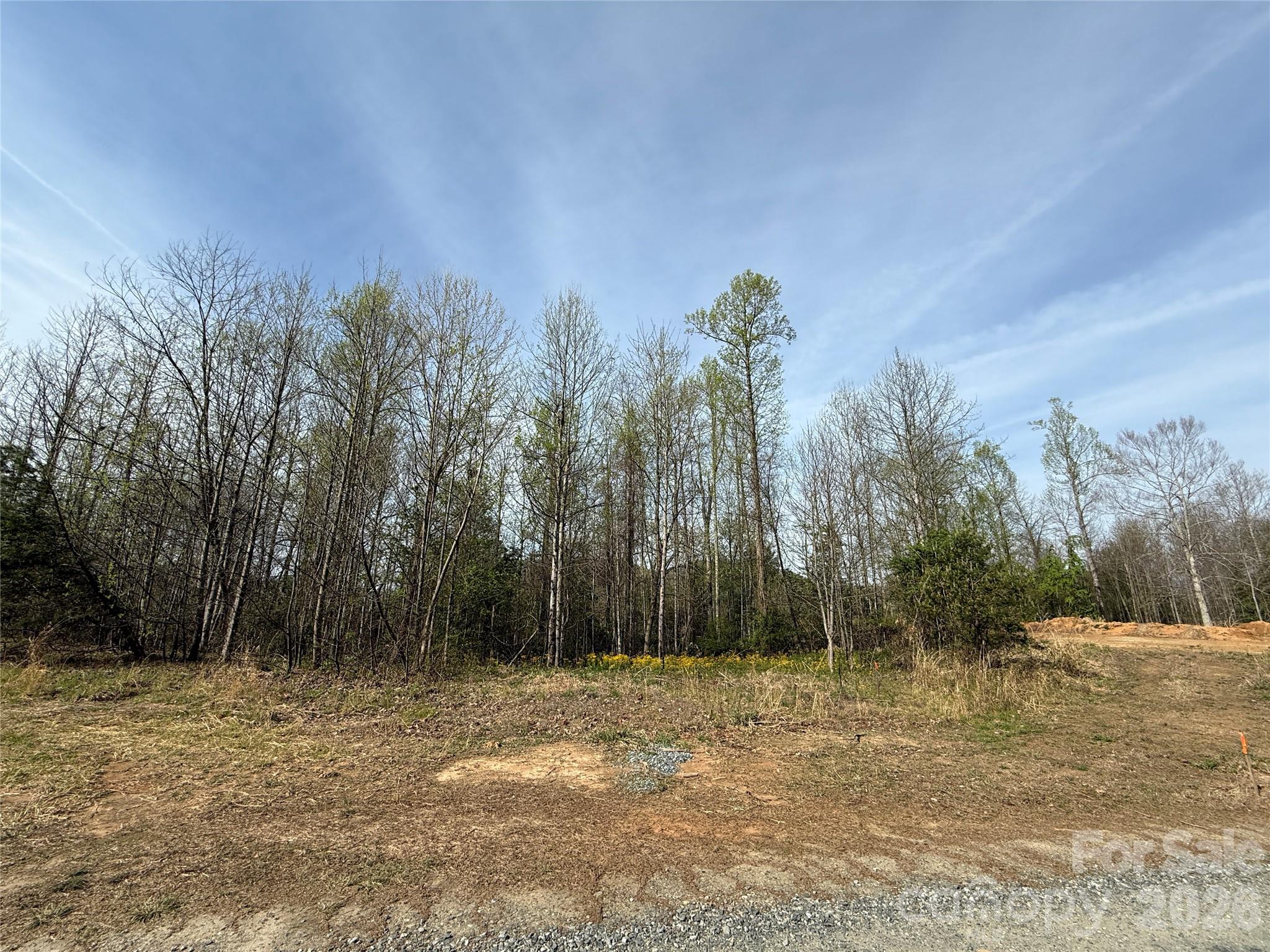 MASTERPIECE MEADOWS - Land