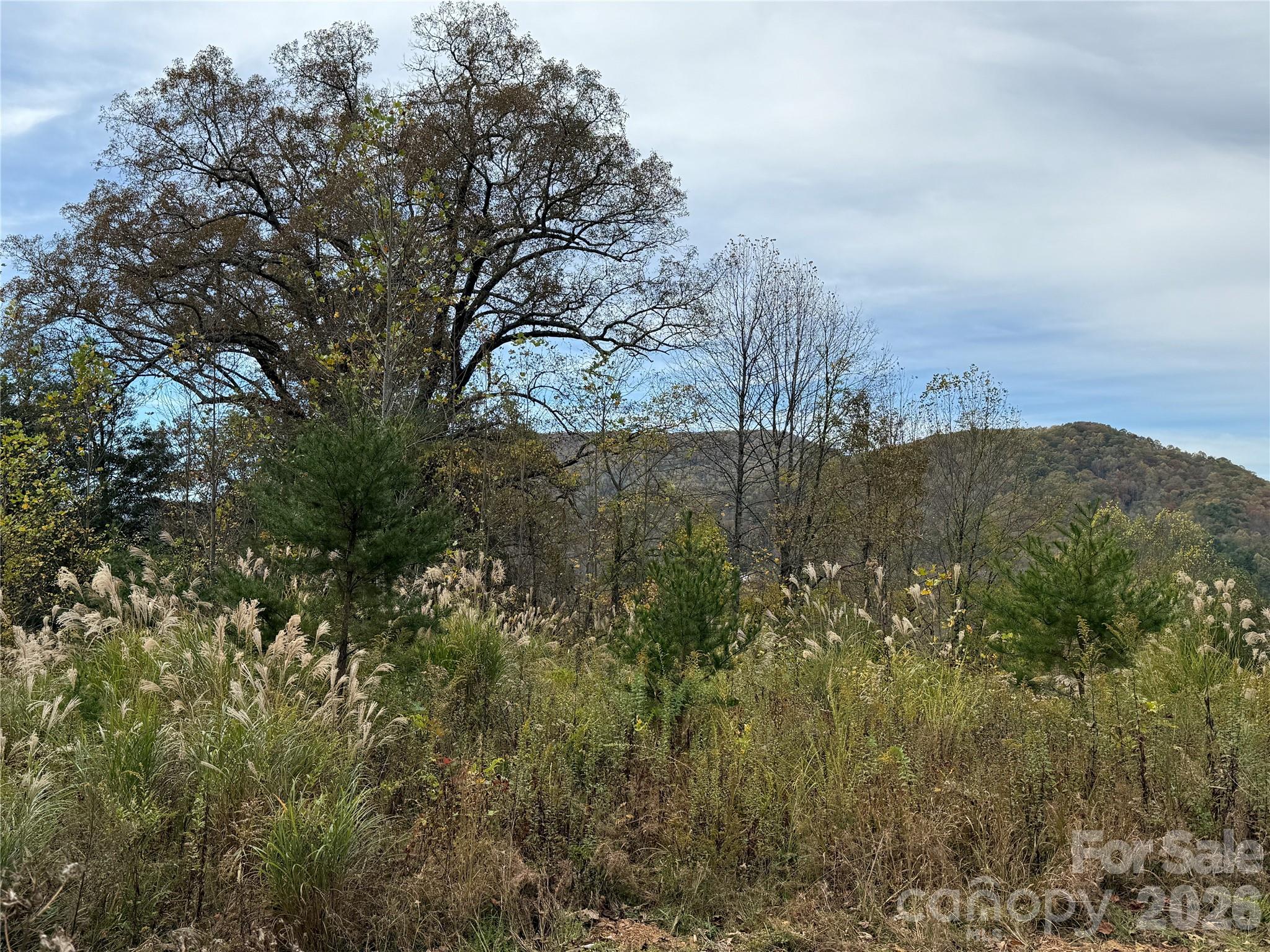 MASTERPIECE MEADOWS - Land