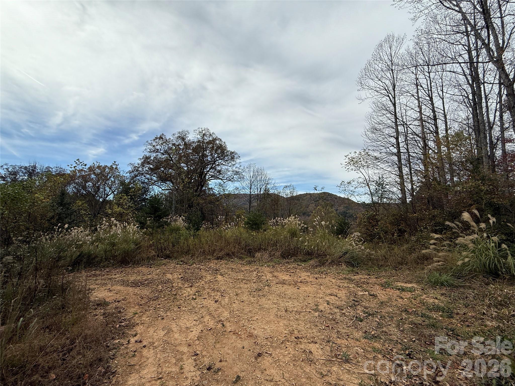 MASTERPIECE MEADOWS - Land