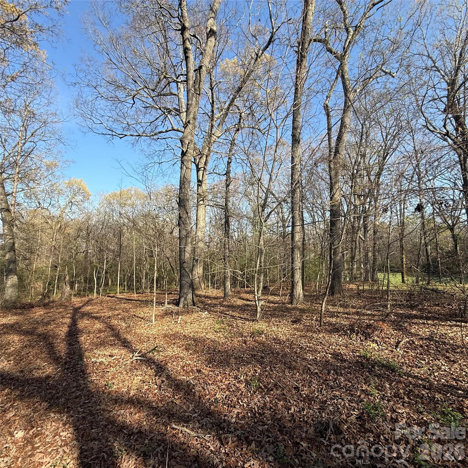 Appaloosa Pointe - Land