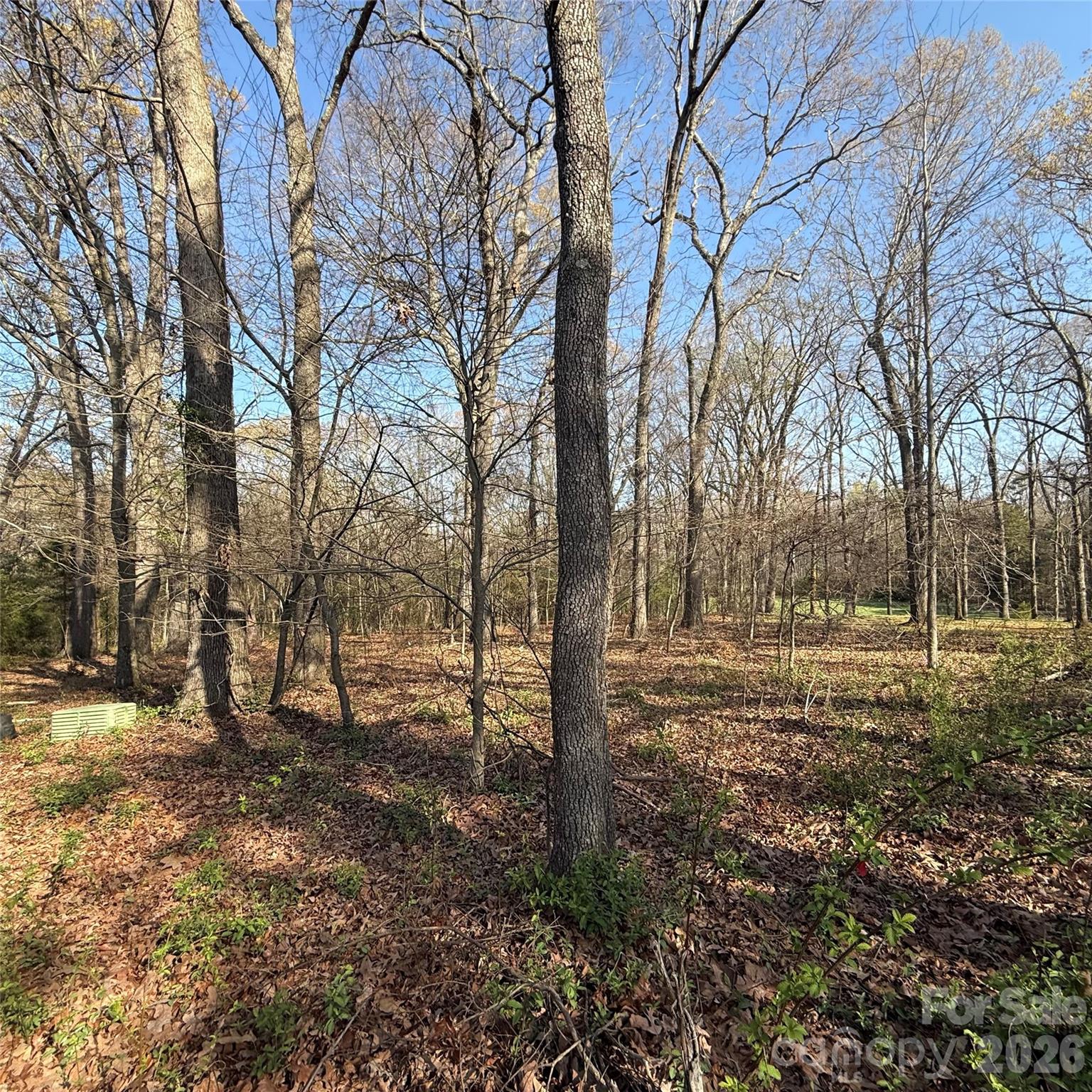 Appaloosa Pointe - Land