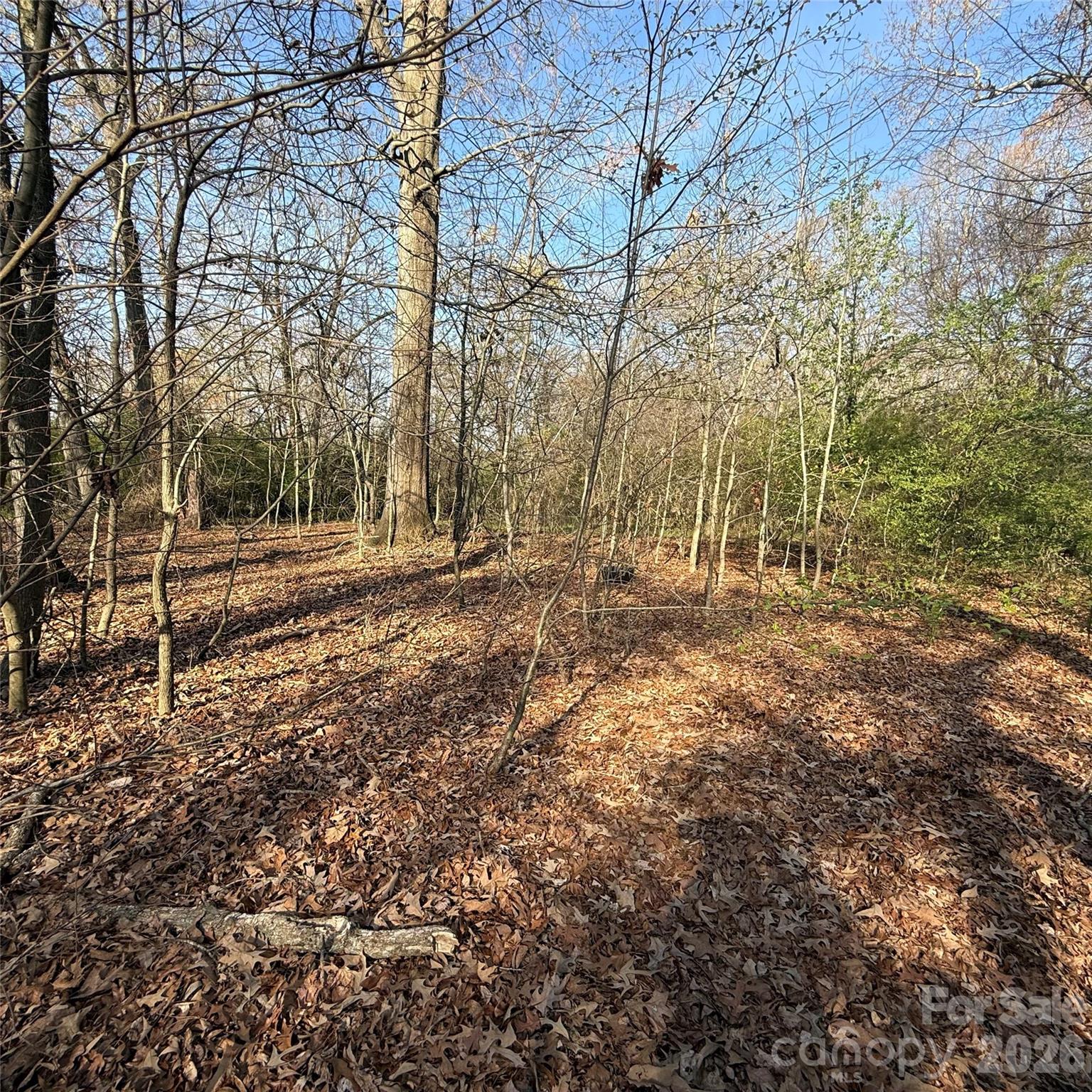 Appaloosa Pointe - Land