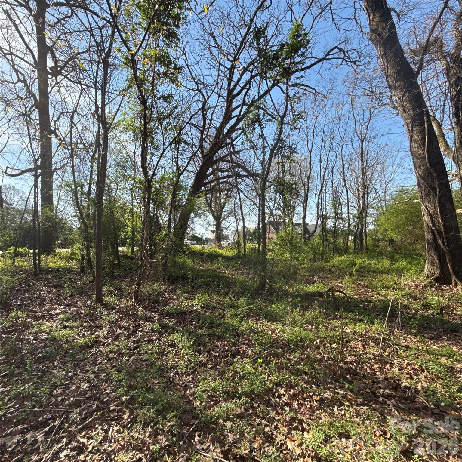 Appaloosa Pointe - Land