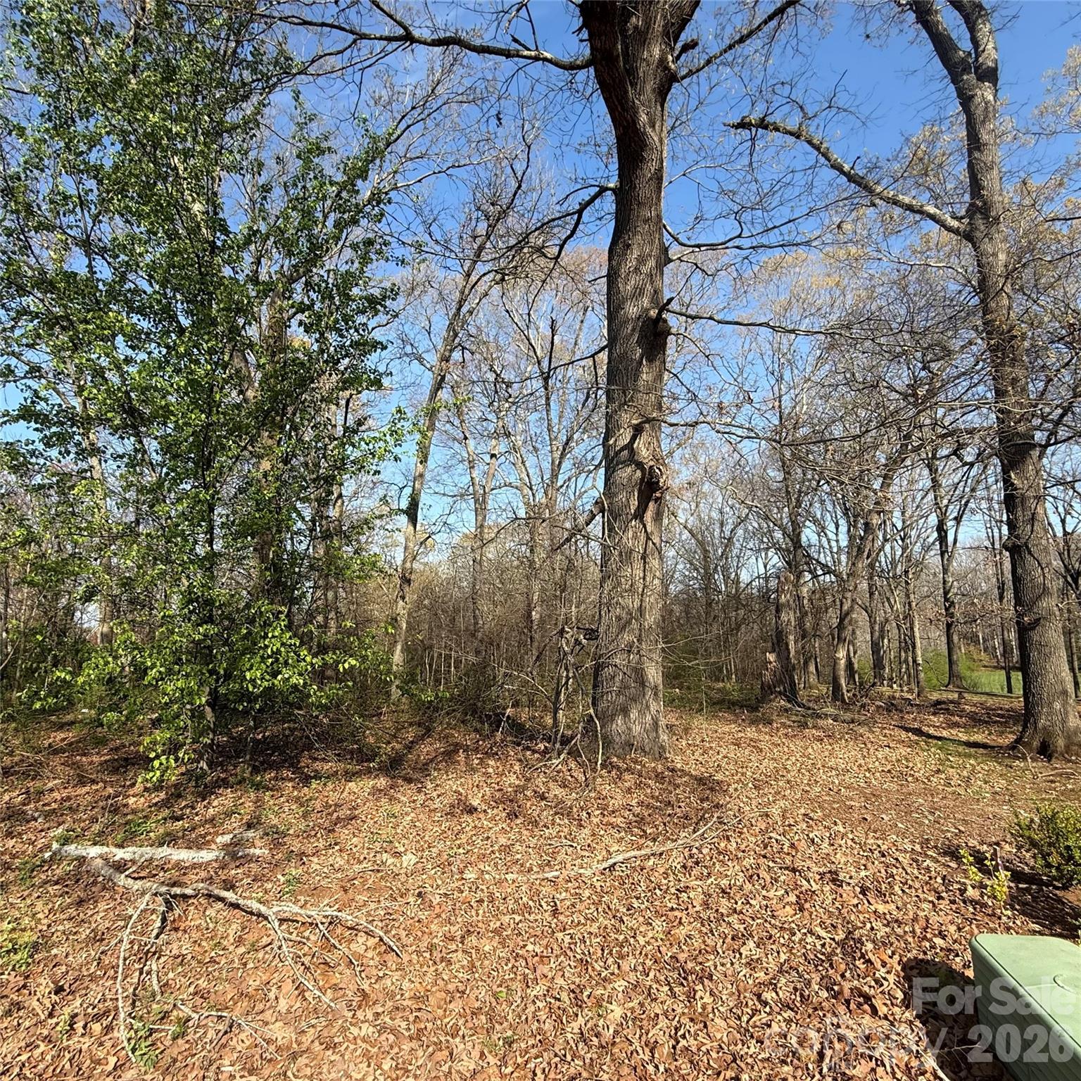 Appaloosa Pointe - Land