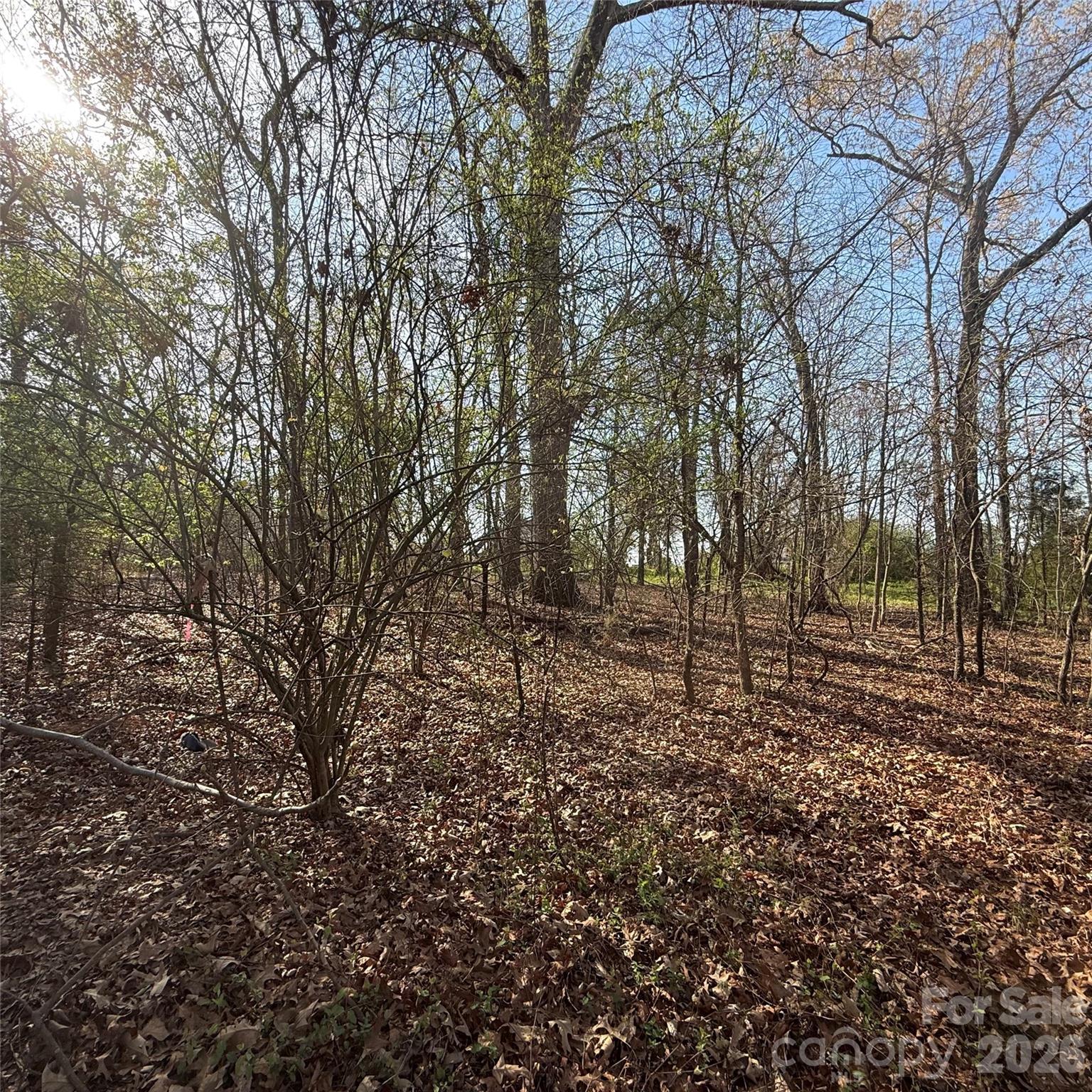 Appaloosa Pointe - Land