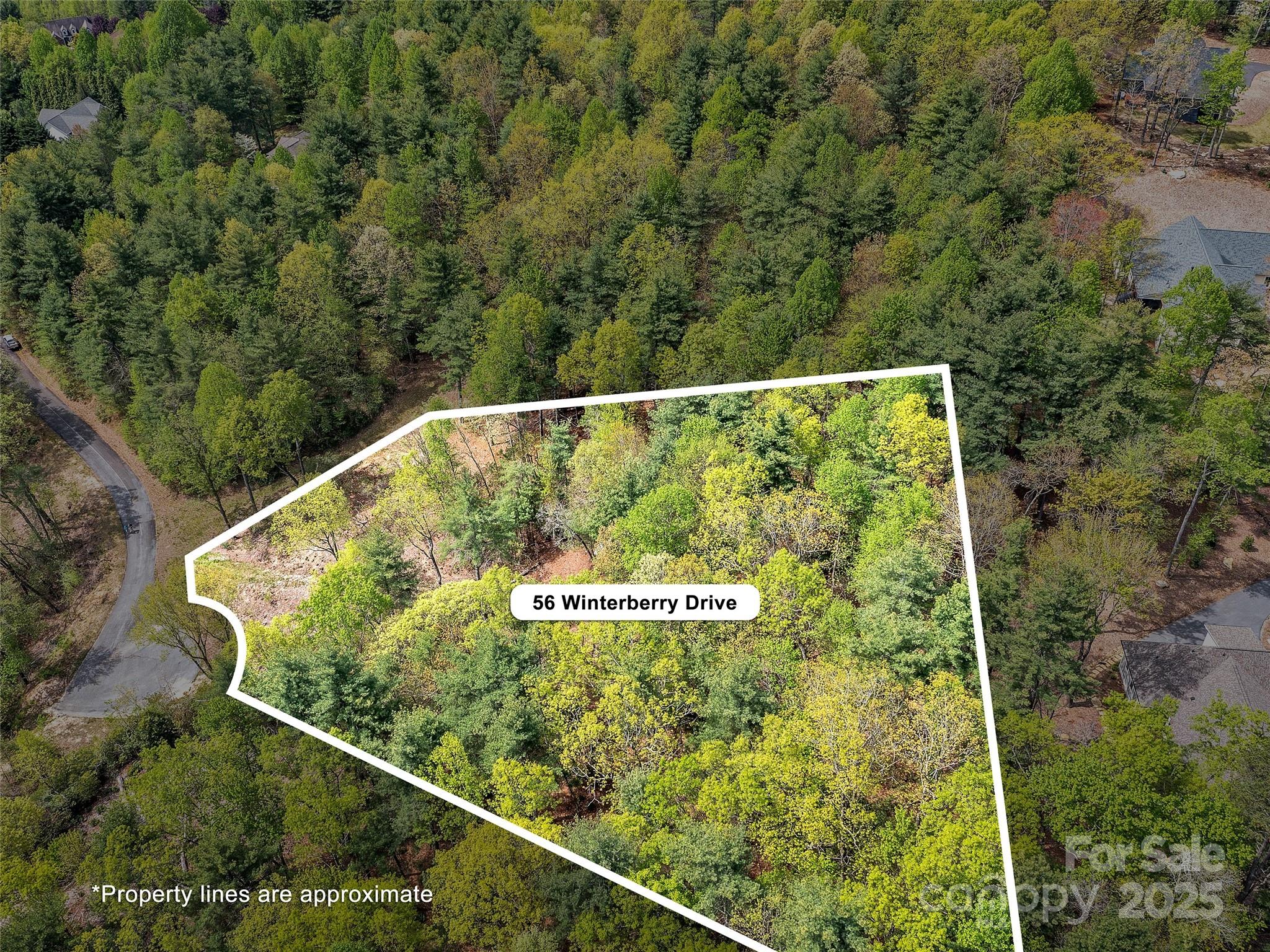 Lot #56 Winterberry Drive