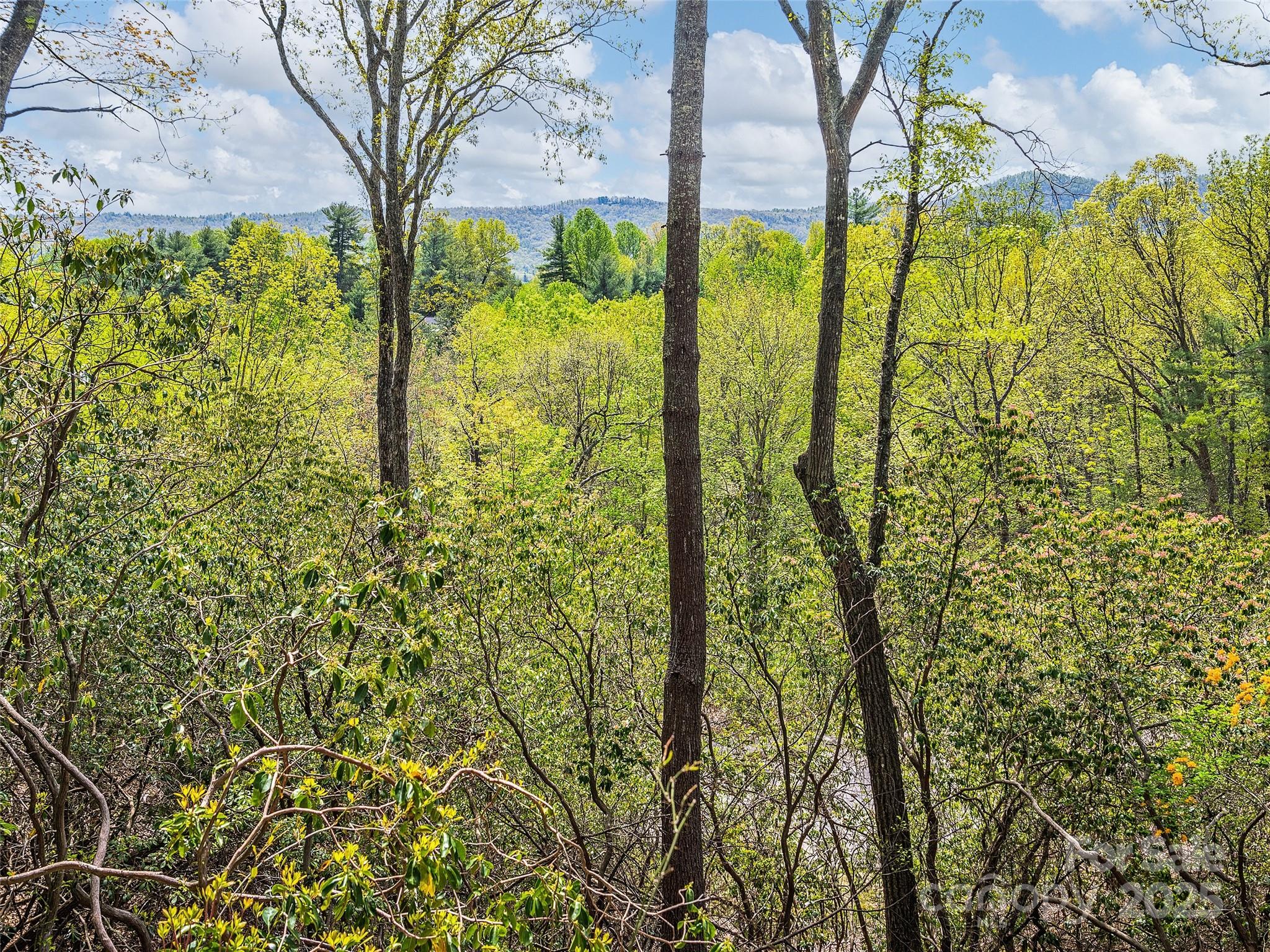 Lot #56 Winterberry Drive