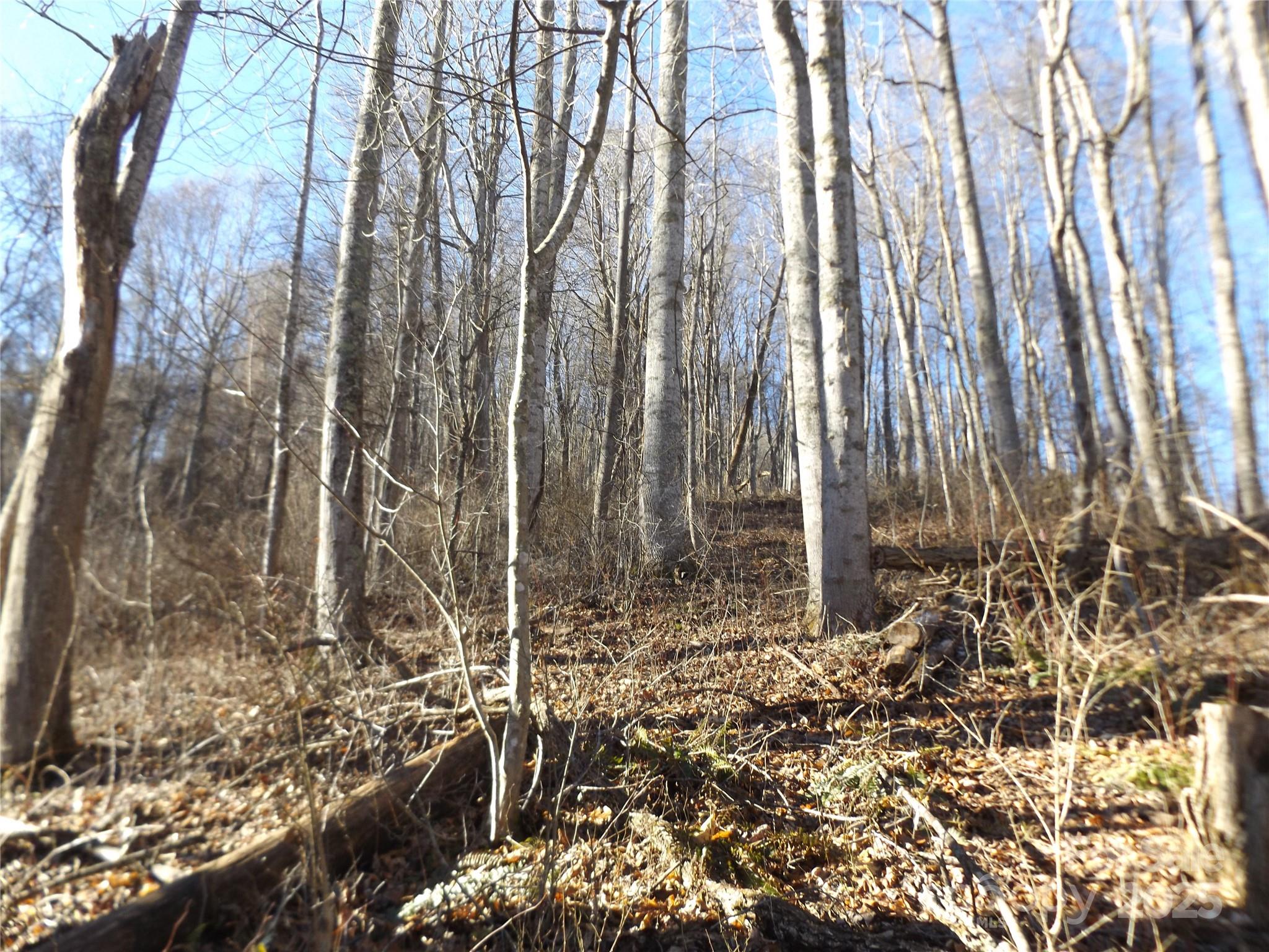 00 Kims Cove Road