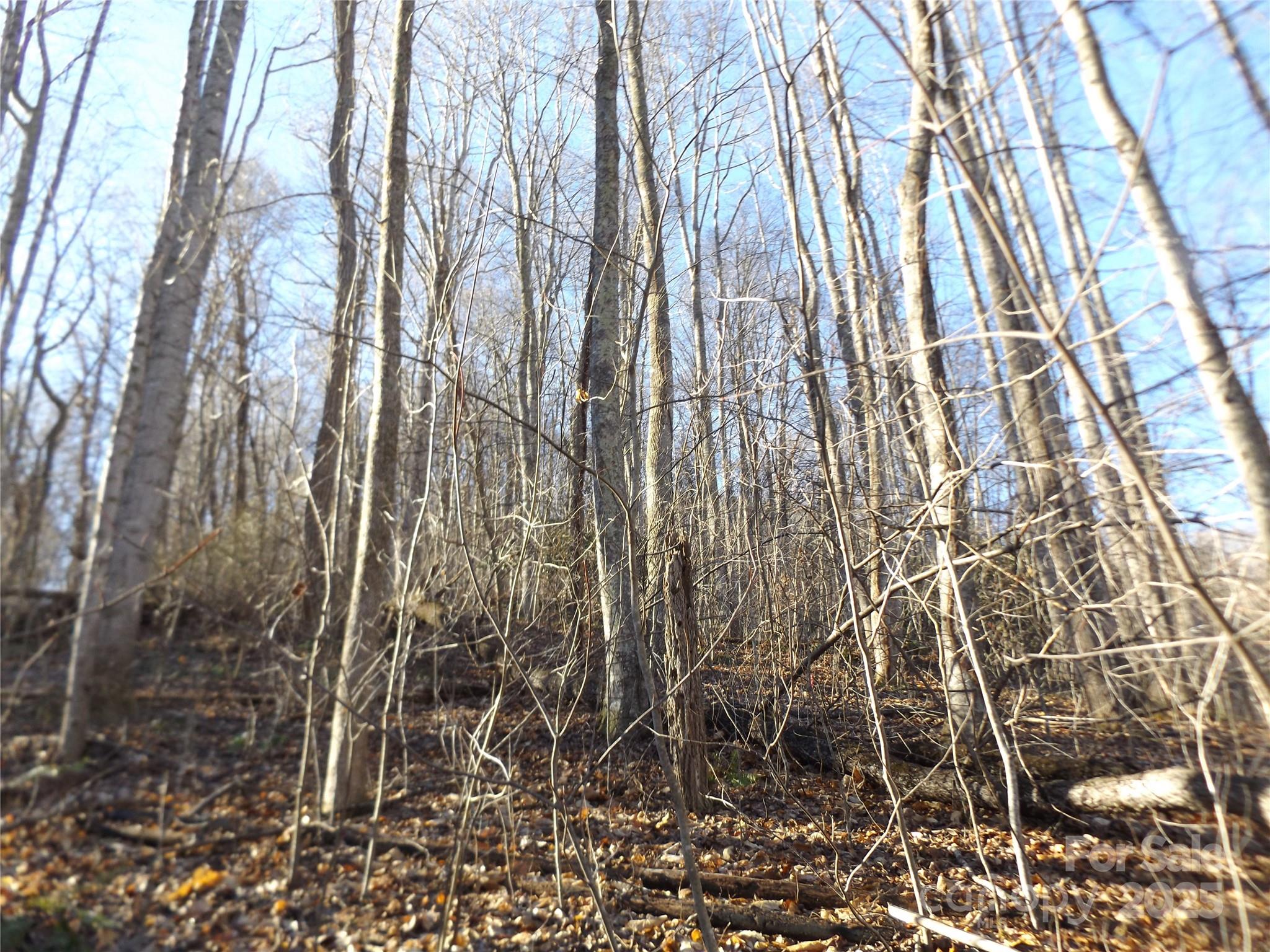 00 Kims Cove Road