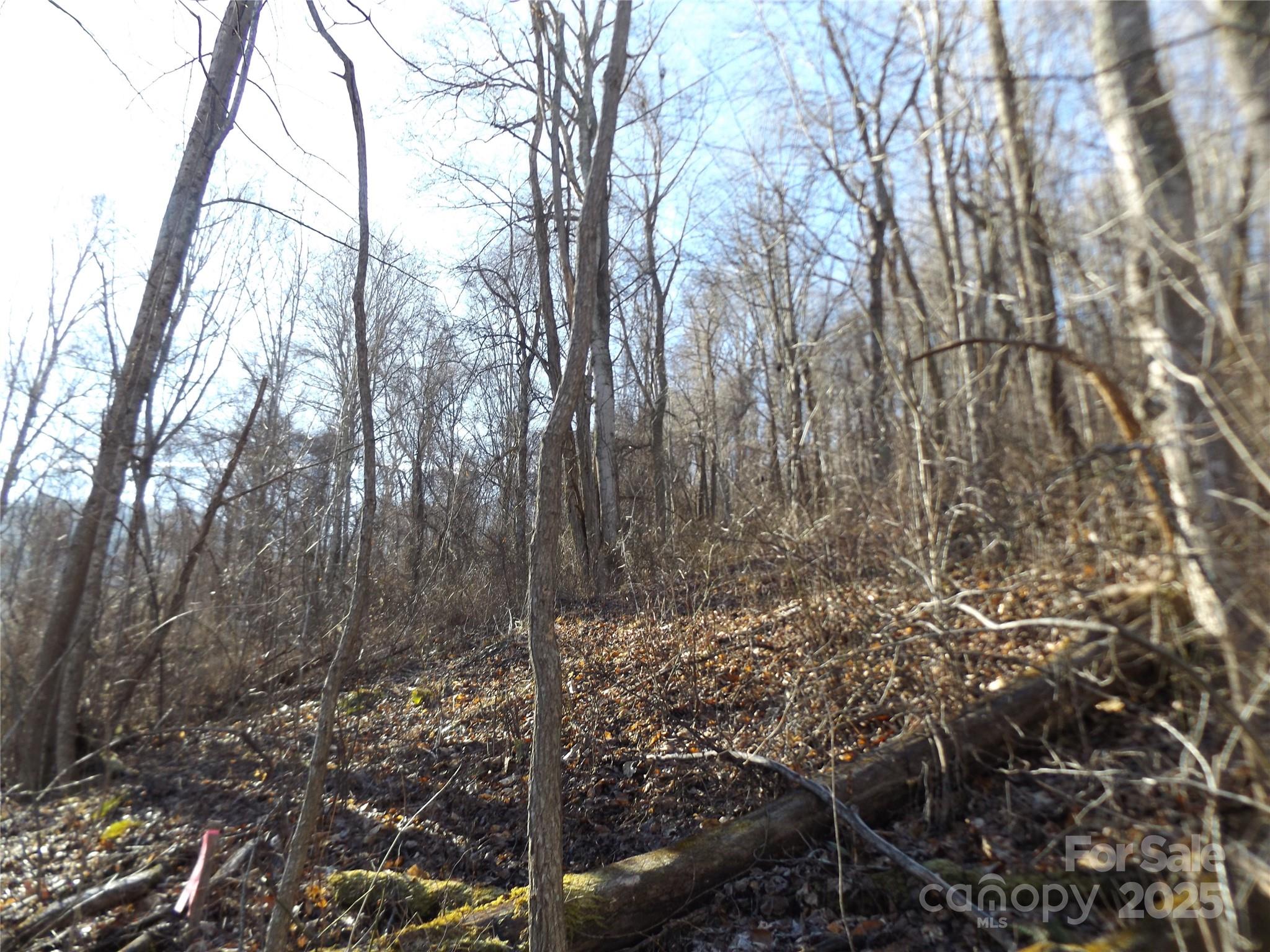 00 Kims Cove Road