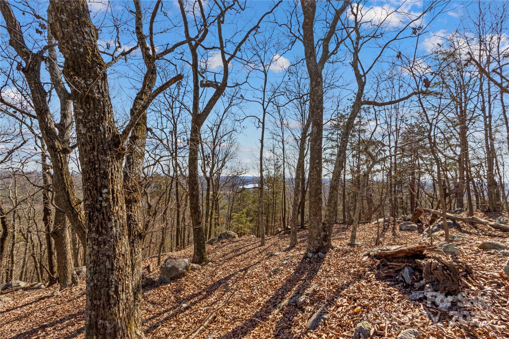 1026 Sierra Trace Road