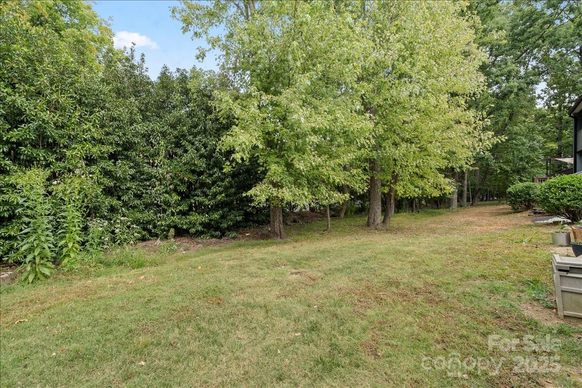 Carmel Chace - Residential