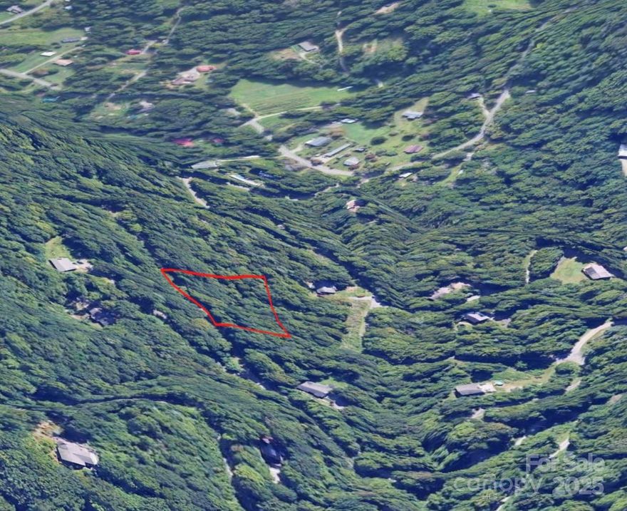 Beautiful 0.92-acre lot located on Green Ridge Falls Rd in peaceful Barnardsville, NC. Nestled in Buncombe County, this property offers a serene mountain setting with the perfect blend of privacy and convenience. Whether you’re looking to build your primary residence, a getaway retreat, or invest in land within the Blue Ridge Mountains, this parcel provides a great opportunity. Enjoy nearby outdoor recreation, scenic views, and the quiet charm of the area—all while being just a short drive to Weaverville and Asheville. Don’t miss your chance to own a piece of Western North Carolina!