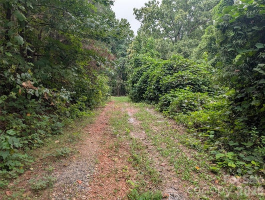 33 PEA RIDGE RD, MILL SPRING, NC 28756 - Image fcace21dda2b2b361b5e5f15a98cb3fb/472527493