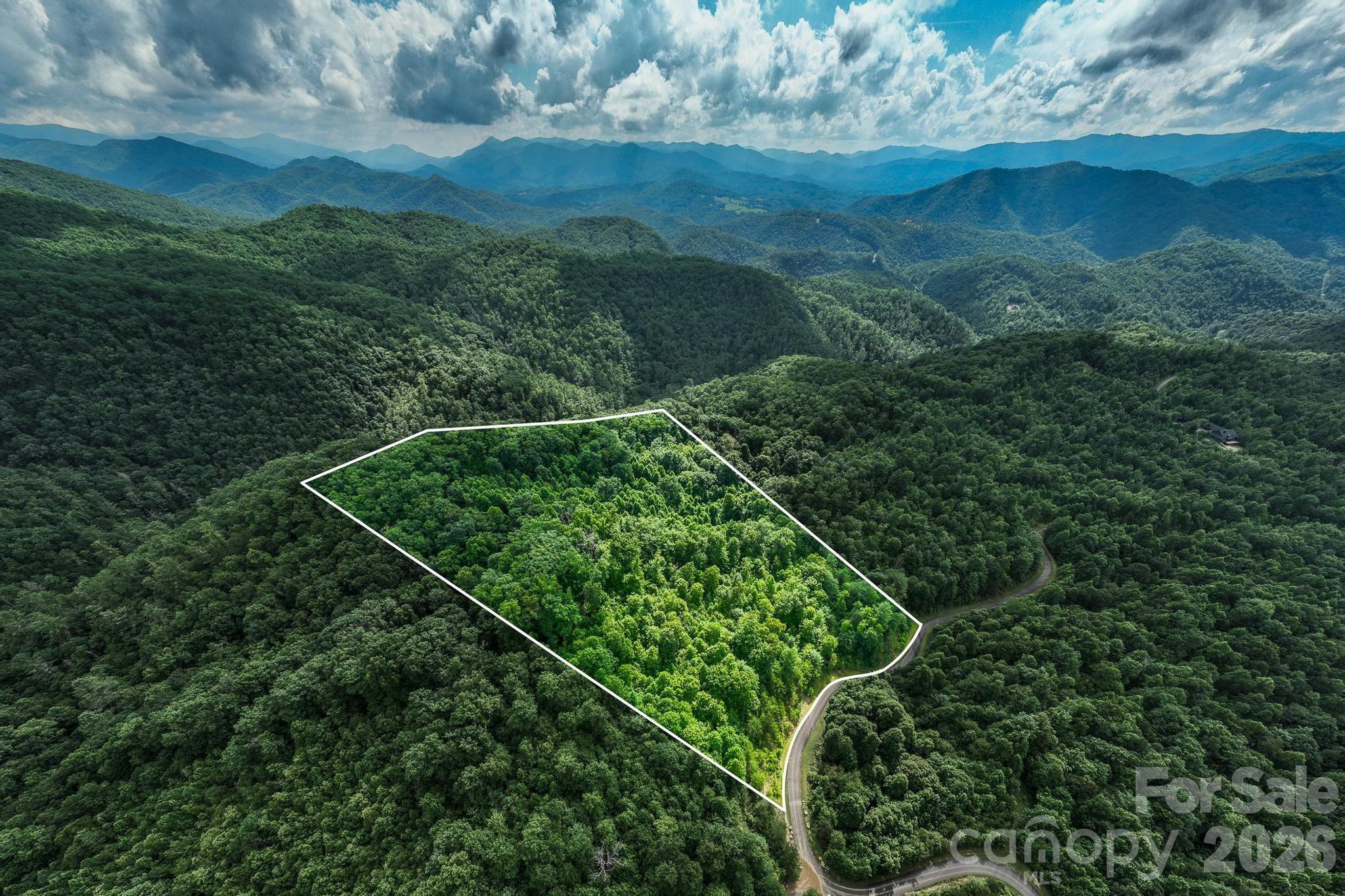565 Pine Cone Trail